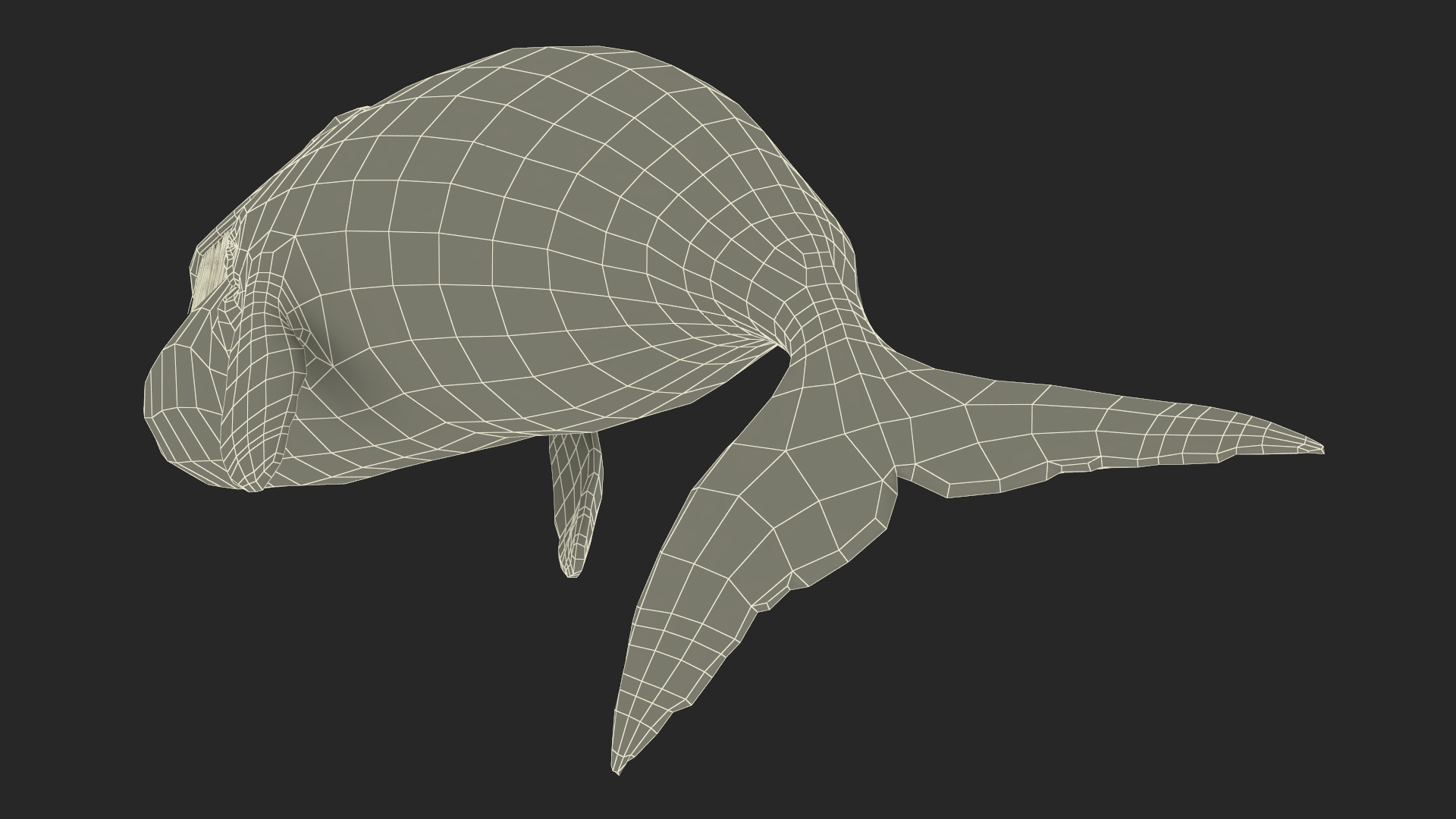 3D Resting Bowhead Whale