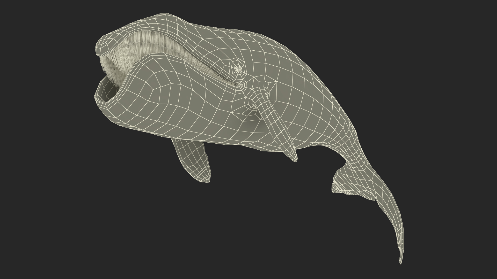 3D Resting Bowhead Whale