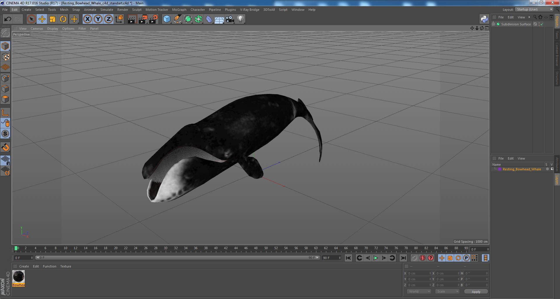 3D Resting Bowhead Whale