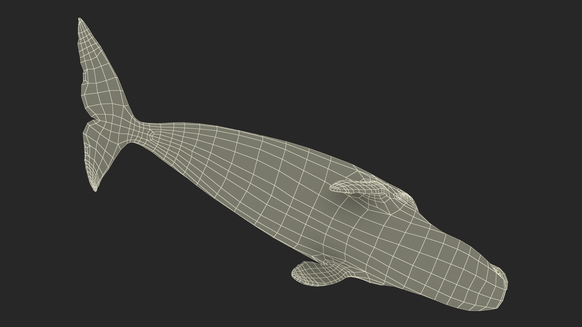 3D Resting Bowhead Whale