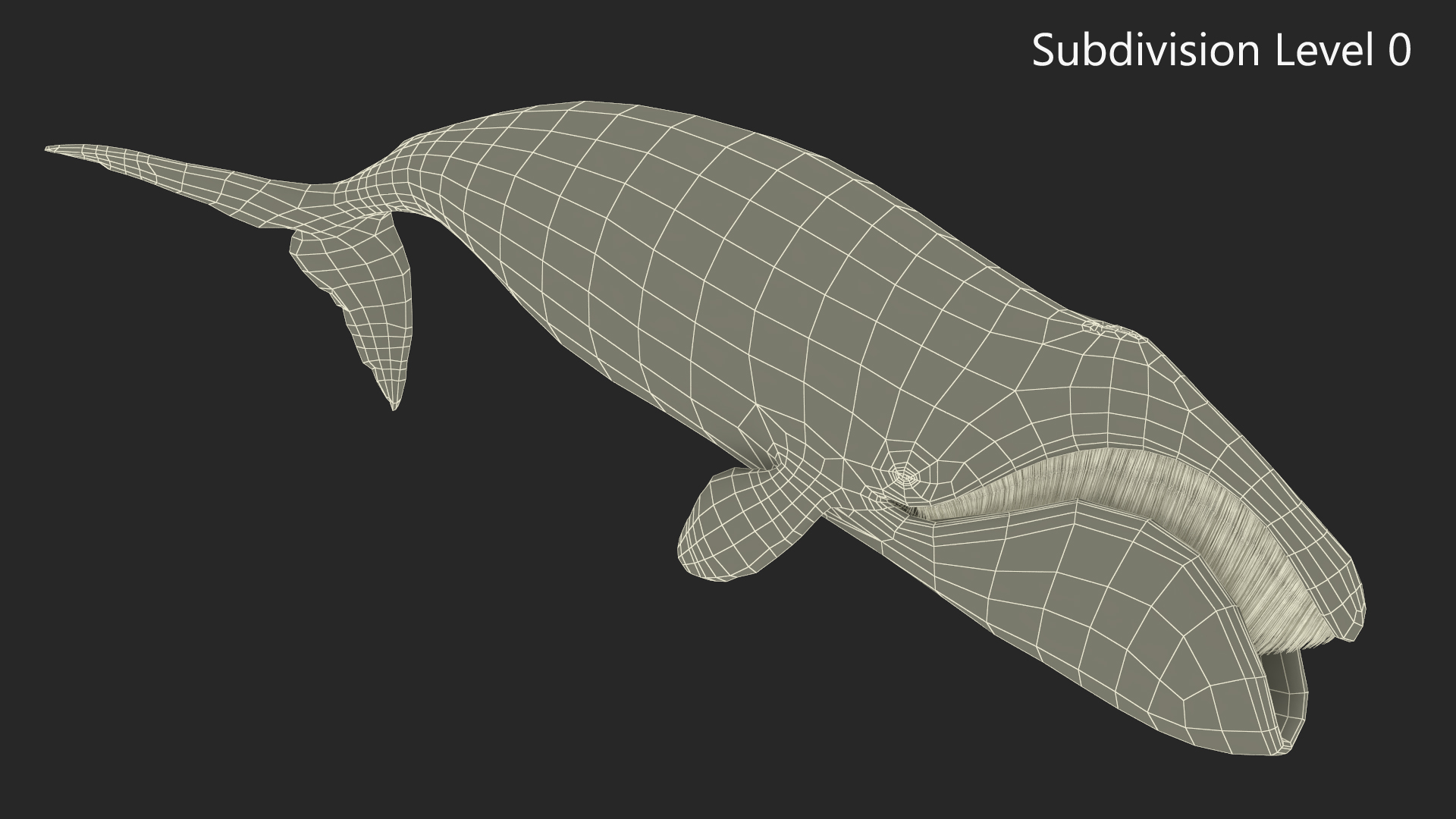 3D Resting Bowhead Whale