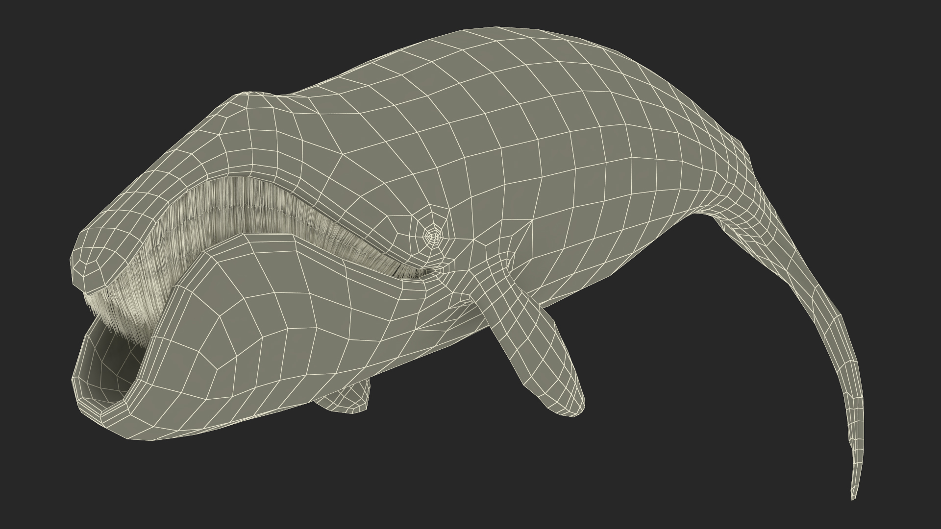 3D Resting Bowhead Whale