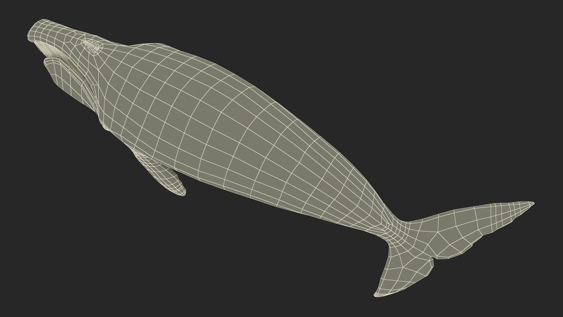 3D Resting Bowhead Whale