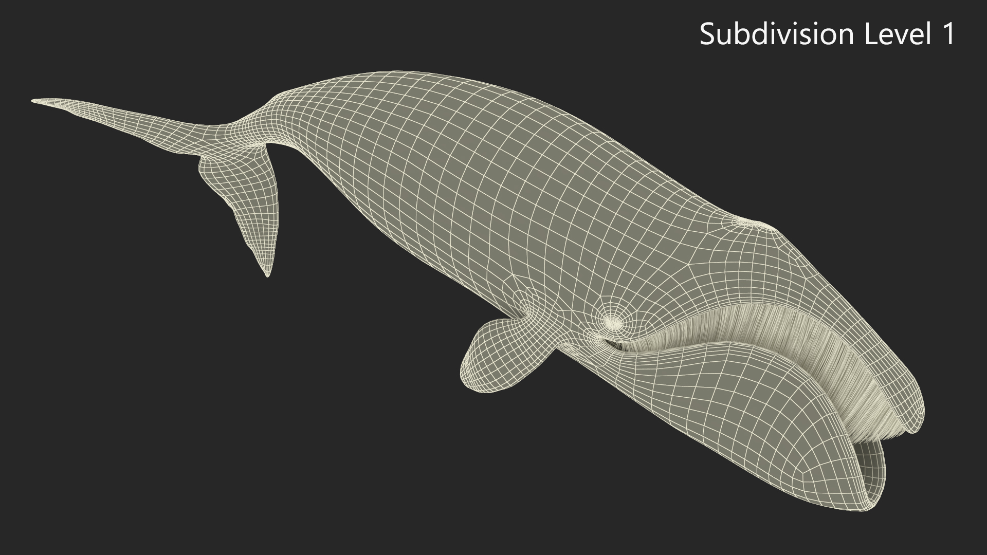 3D Resting Bowhead Whale