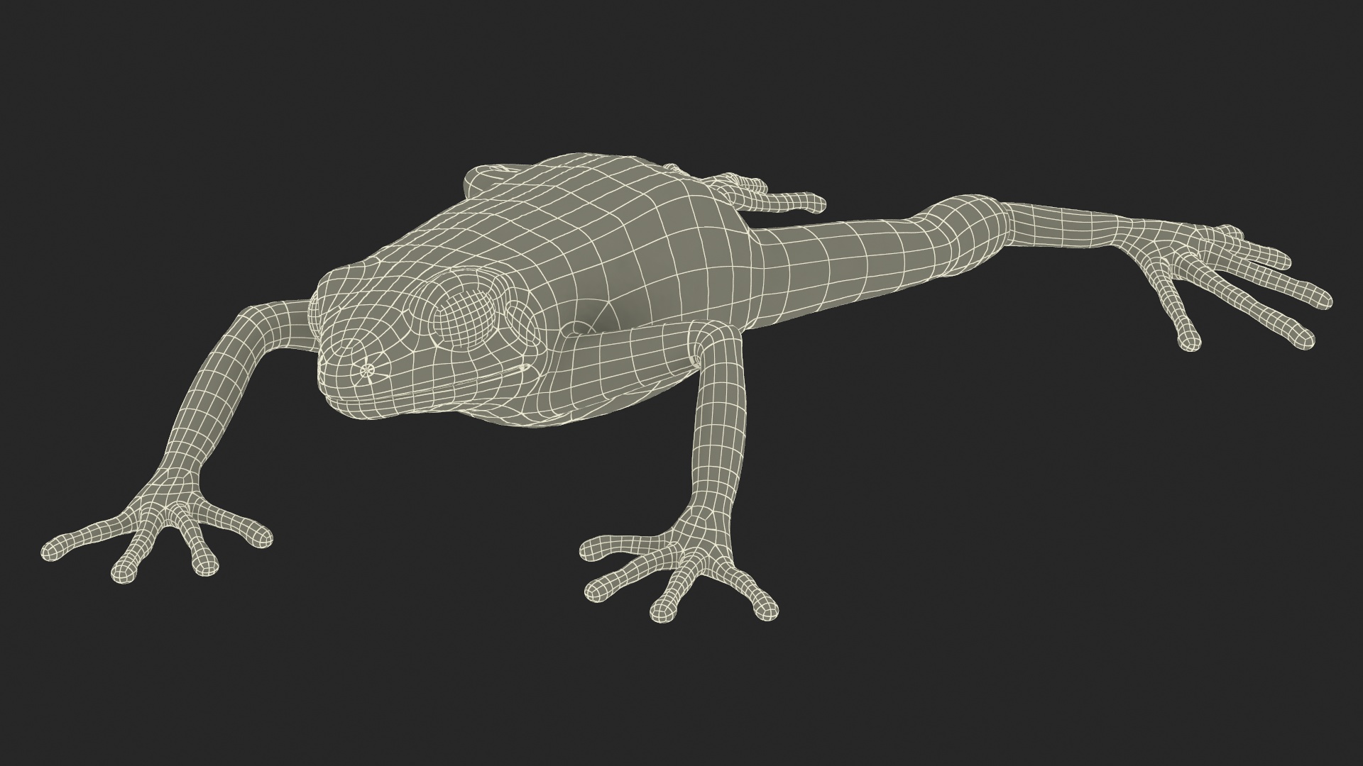 3D Mantella Frog model