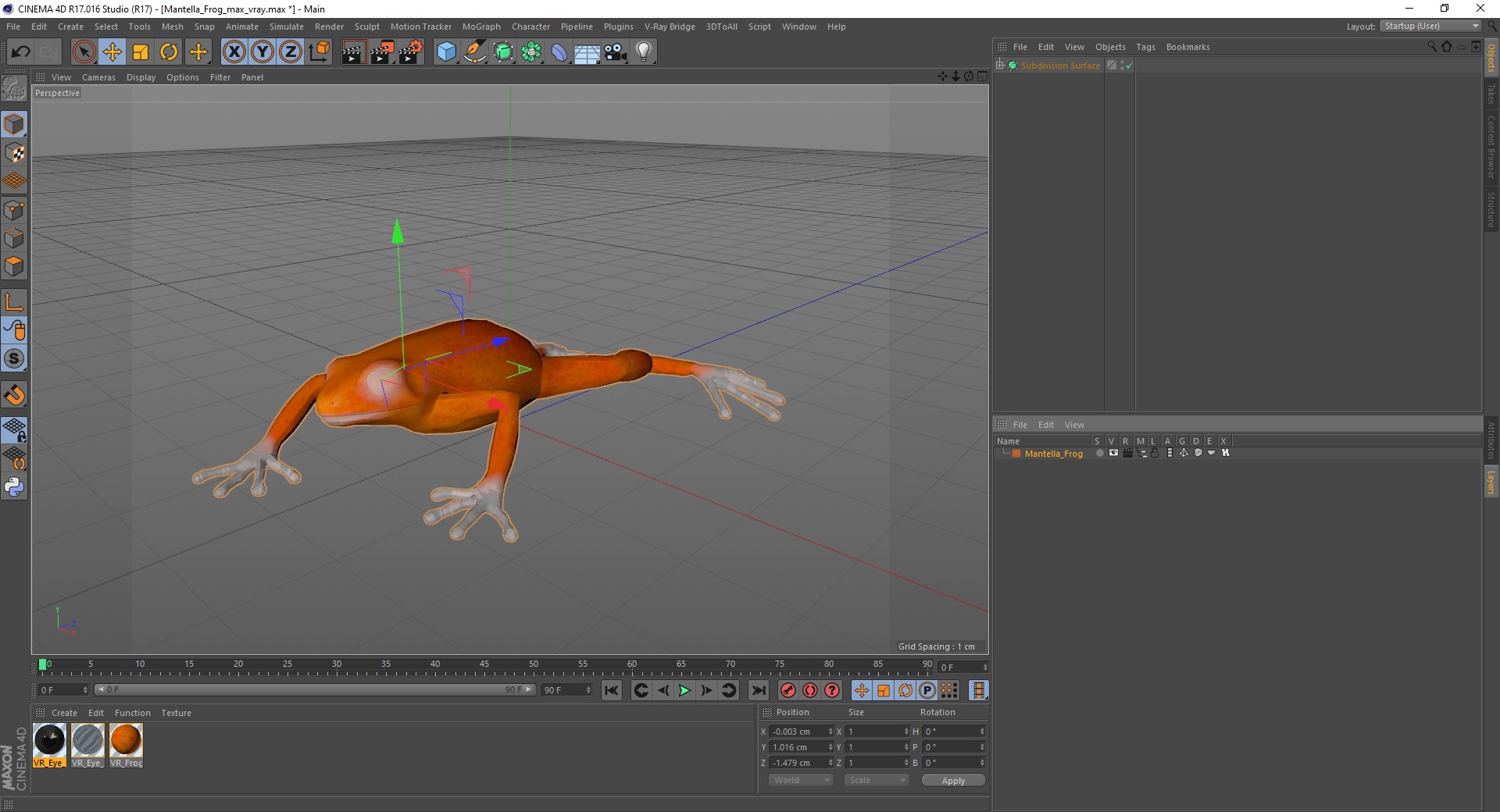 3D Mantella Frog model