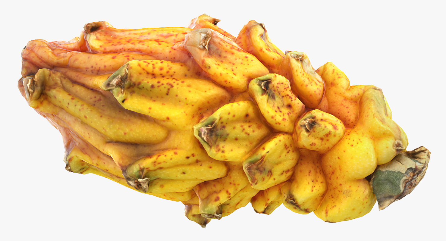 3D Yellow Dragonfruit model