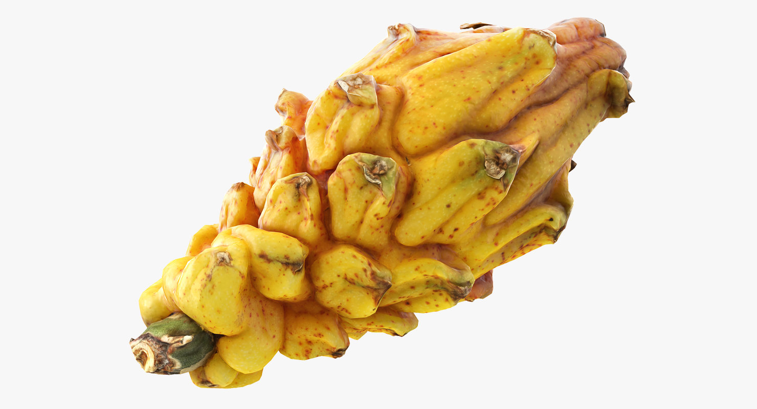 3D Yellow Dragonfruit model