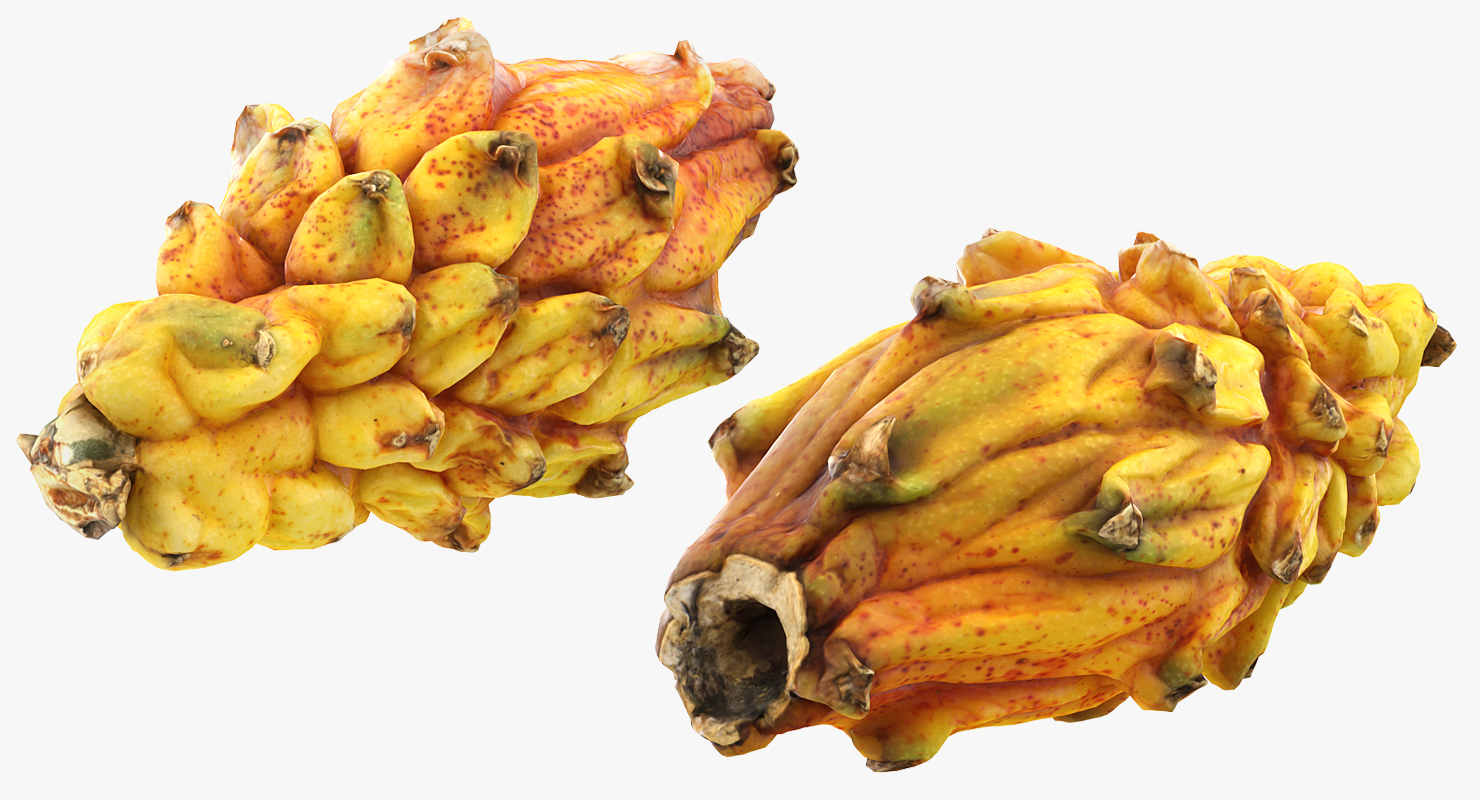 3D Yellow Dragonfruit model