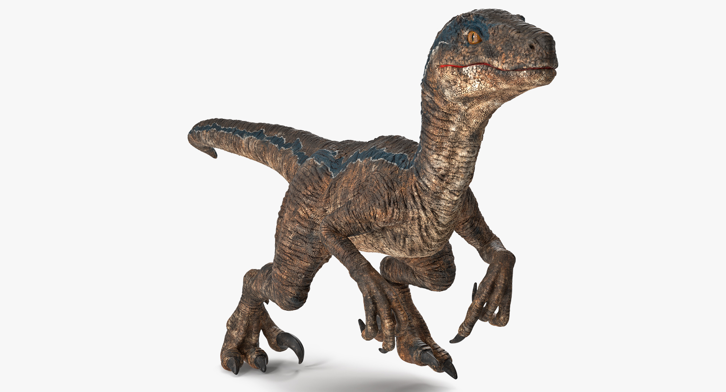 3D model Velociraptor Walking Pose