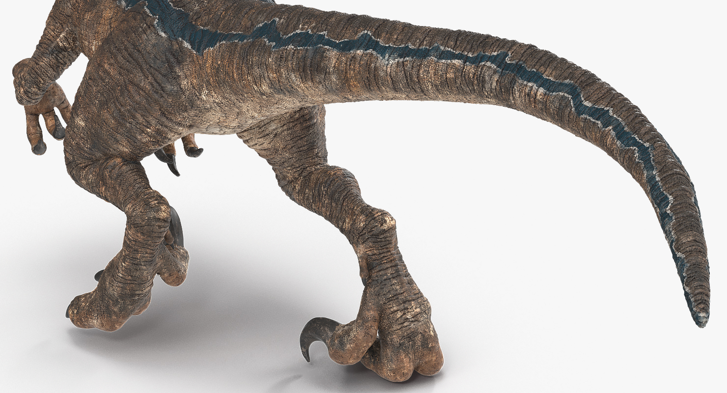 3D model Velociraptor Walking Pose