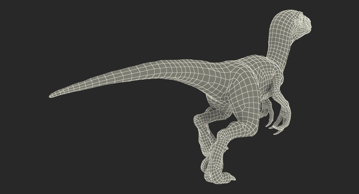 3D model Velociraptor Walking Pose