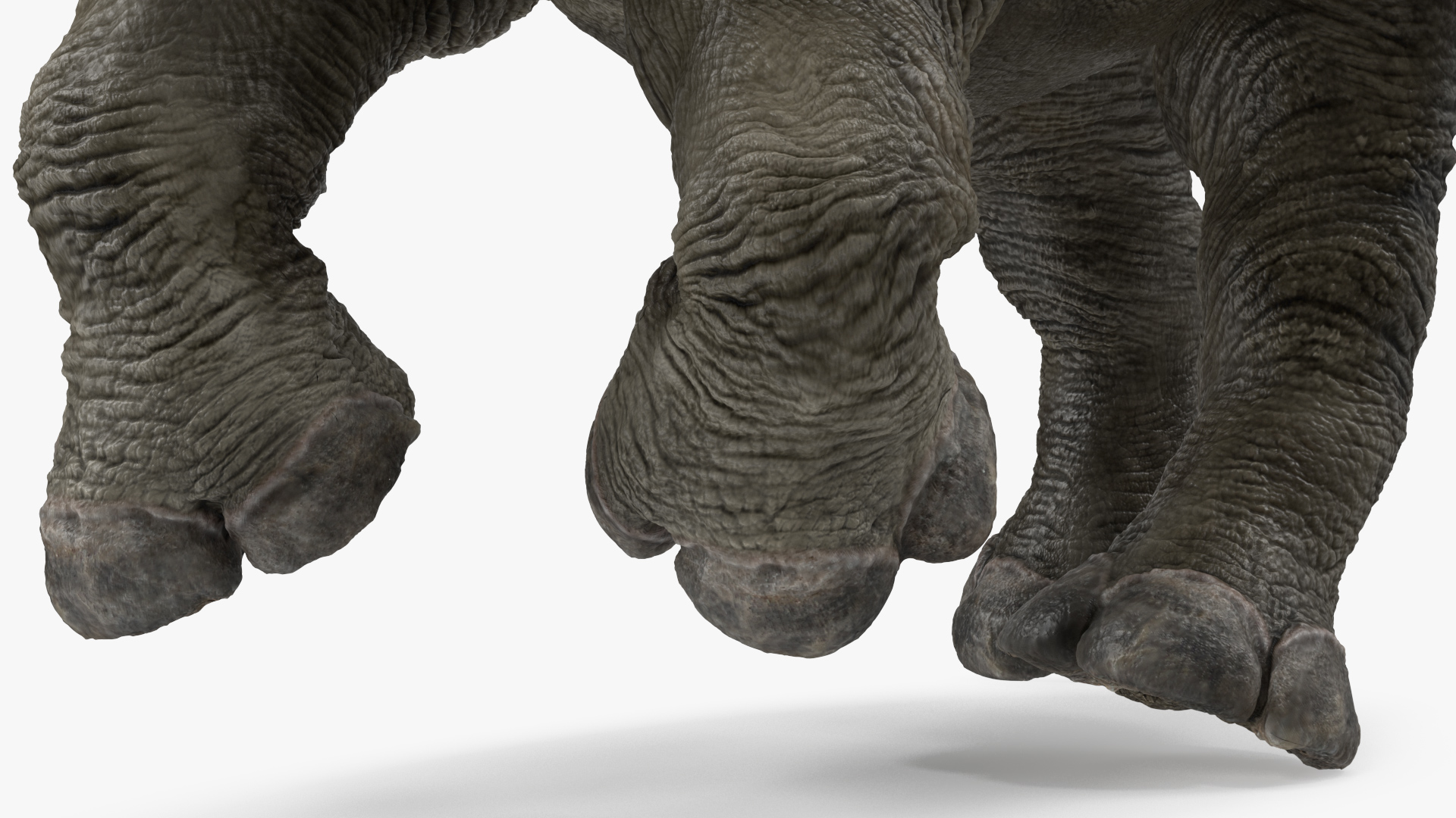 Rhino Baby Running Pose Fur 3D