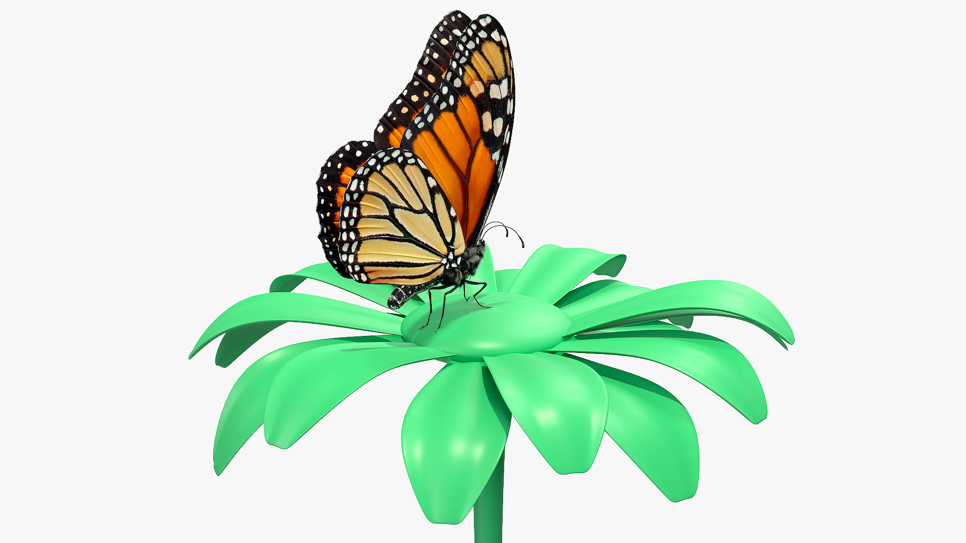 3D Animated Monarch Butterfly Collects Nectar Fur Rigged model