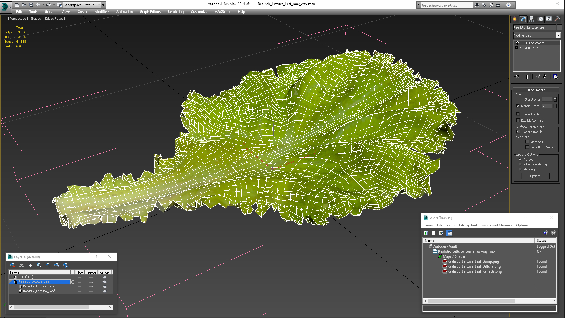 Realistic Lettuce Leaf 3D