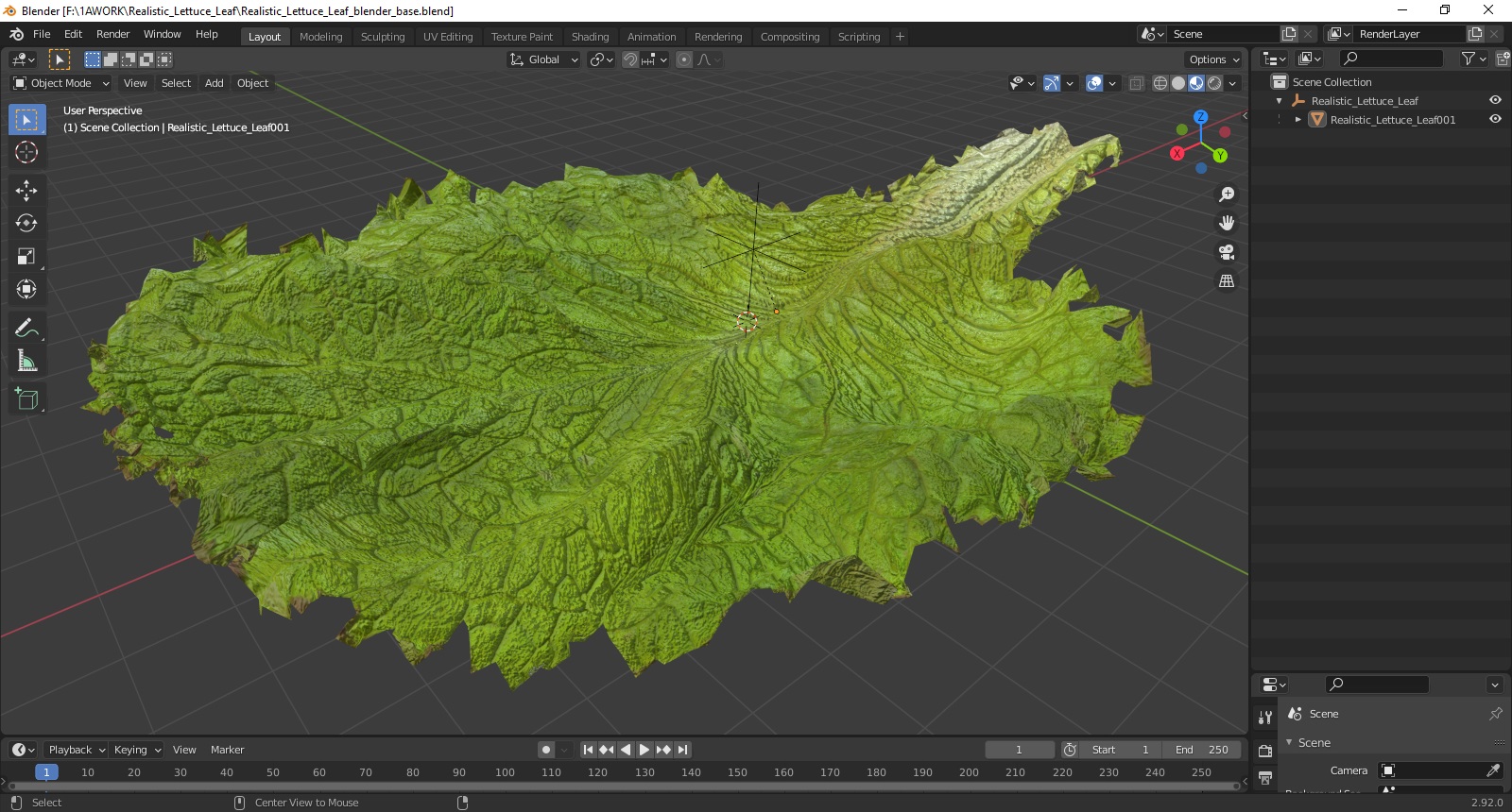 Realistic Lettuce Leaf 3D