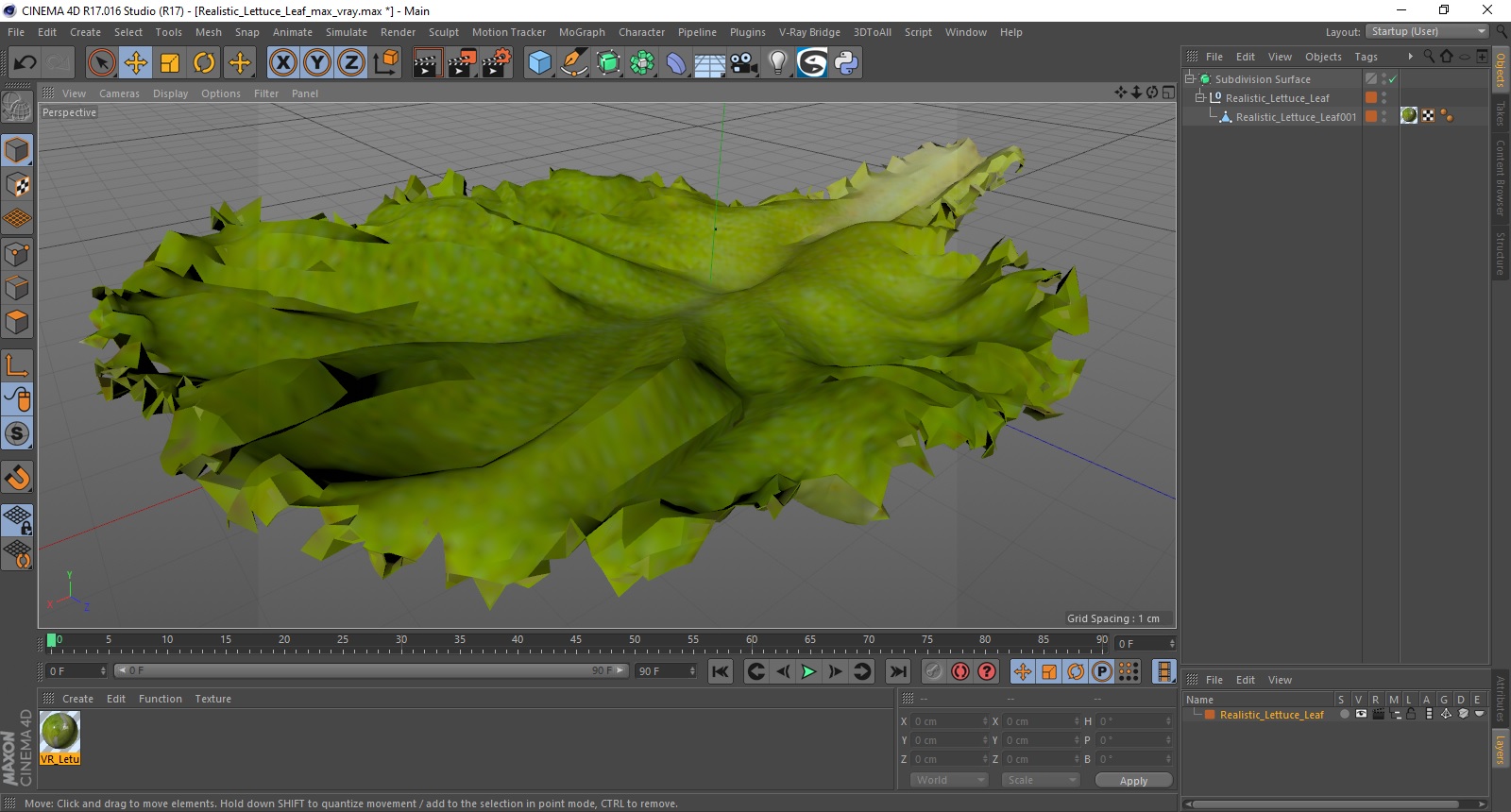 Realistic Lettuce Leaf 3D