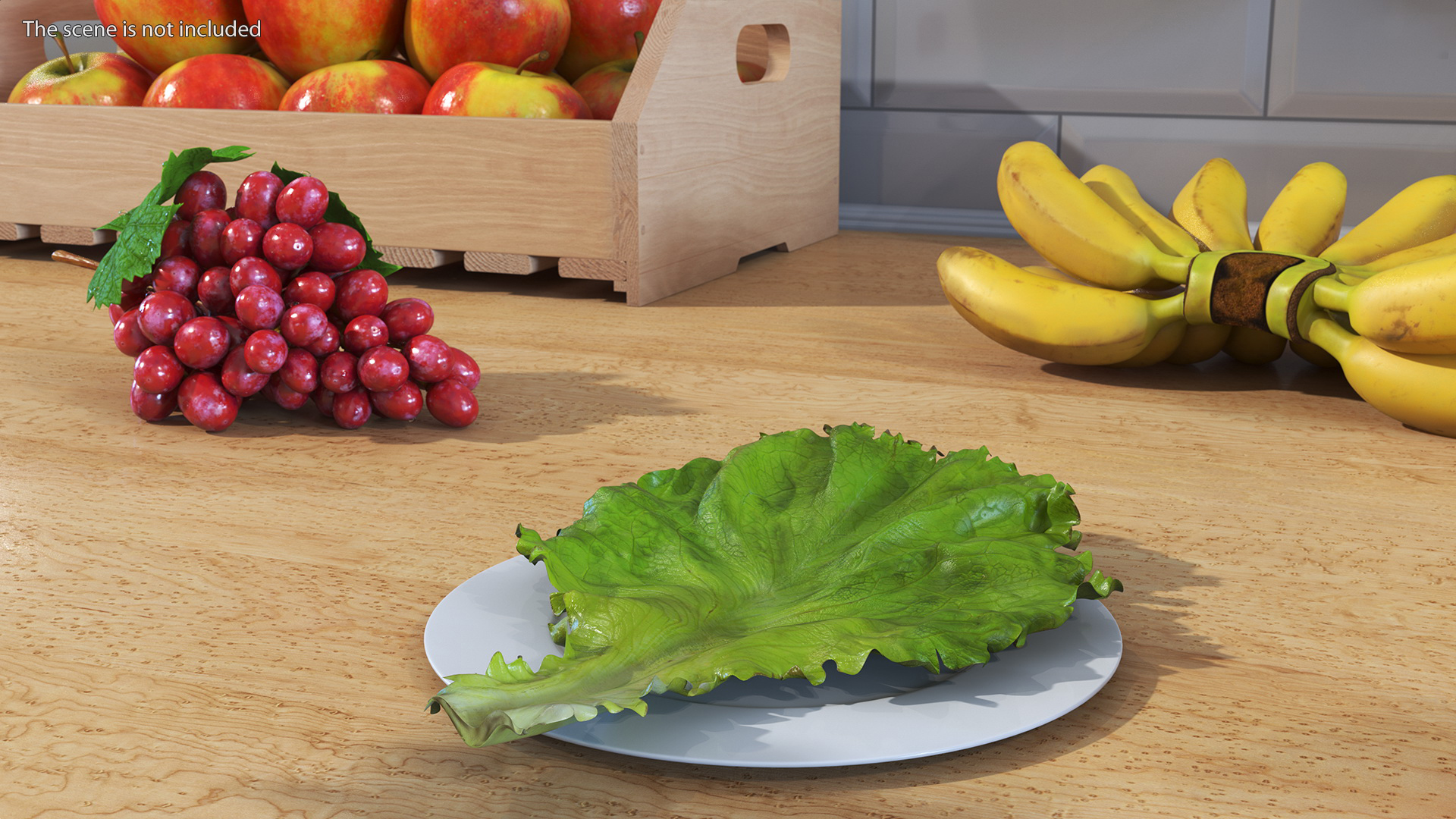 Realistic Lettuce Leaf 3D