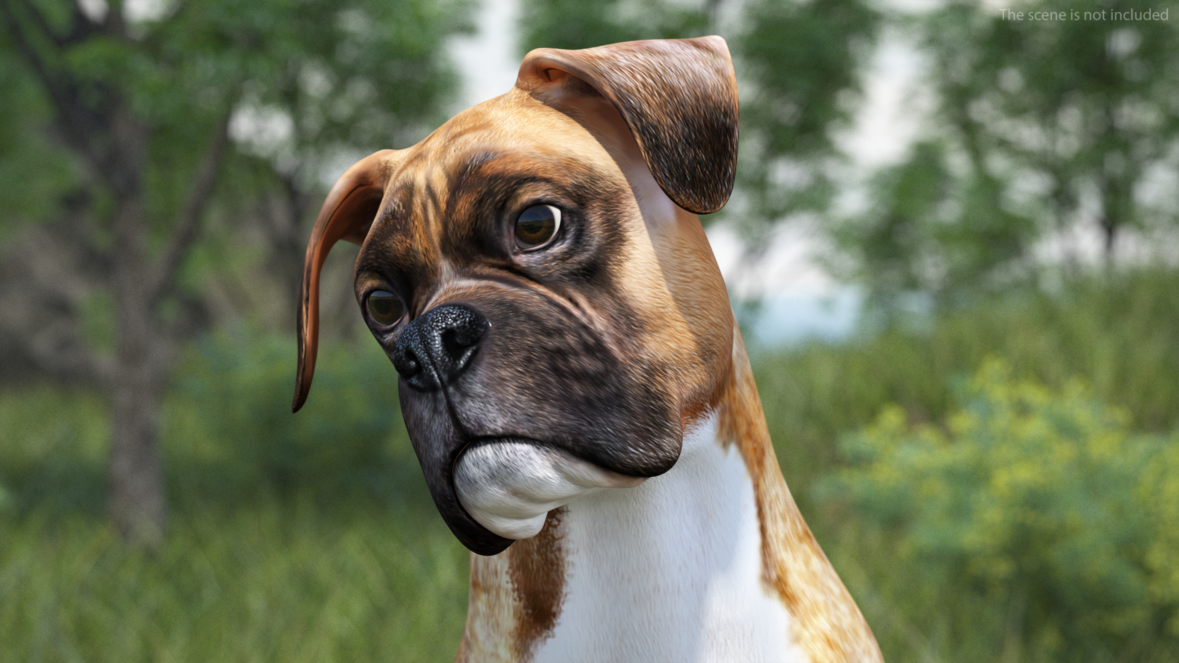 3D Sitting Dog Boxer Tiger Colored