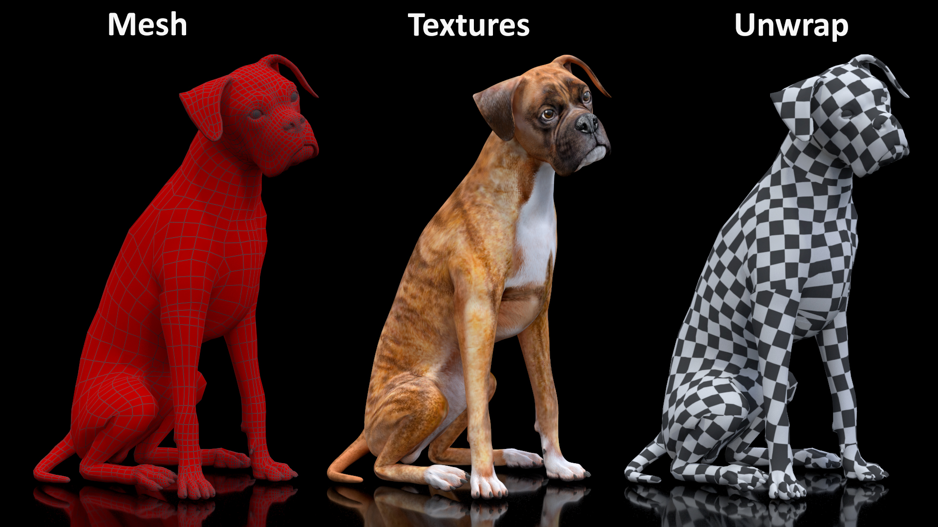 3D Sitting Dog Boxer Tiger Colored