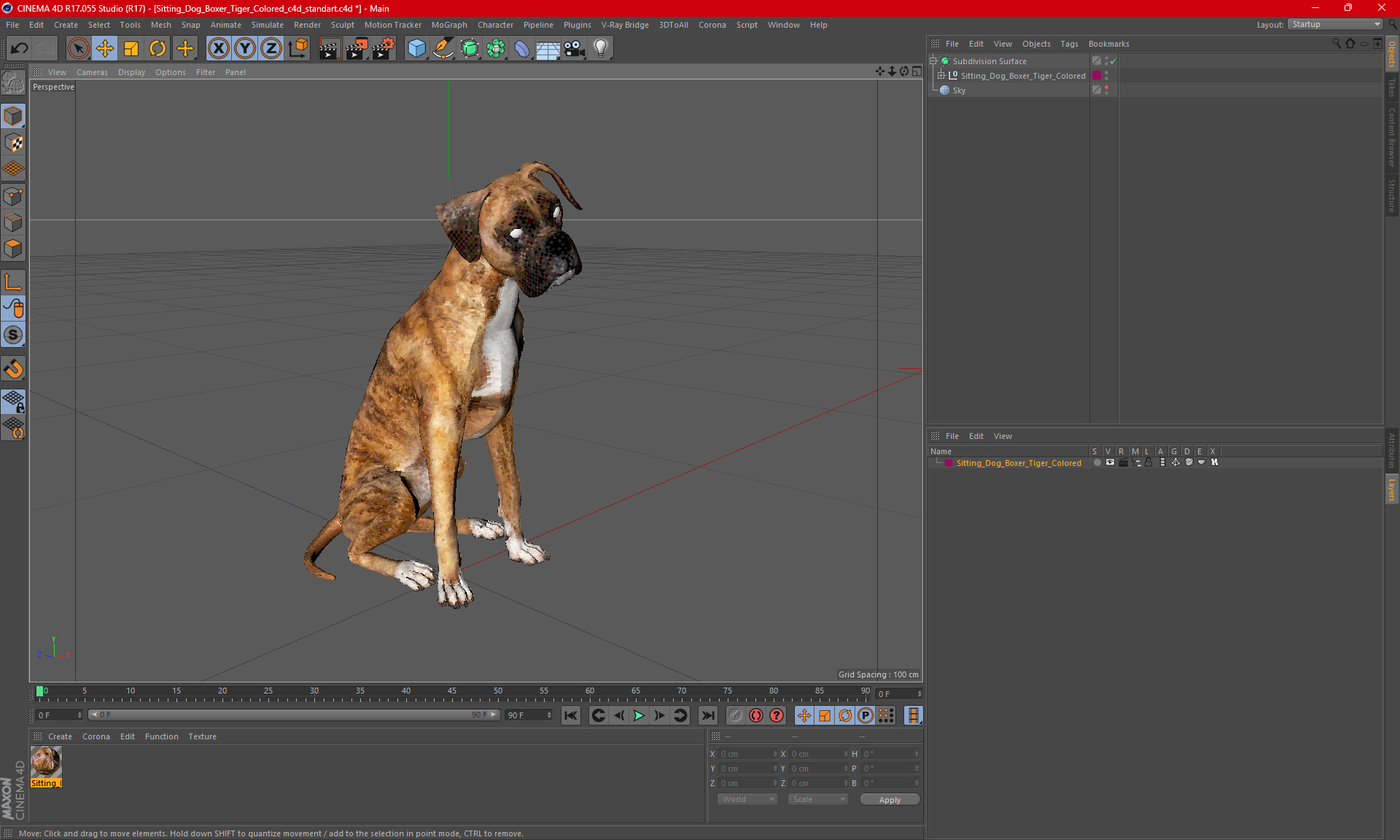 3D Sitting Dog Boxer Tiger Colored