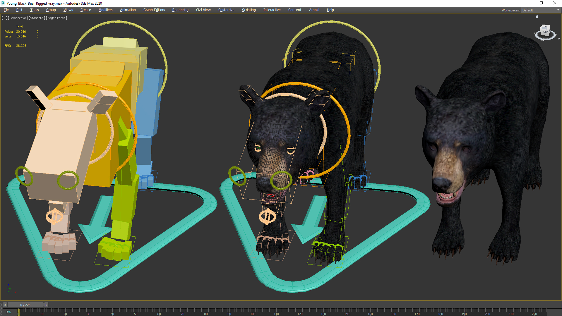 Young Black Bear Rigged for Maya 3D