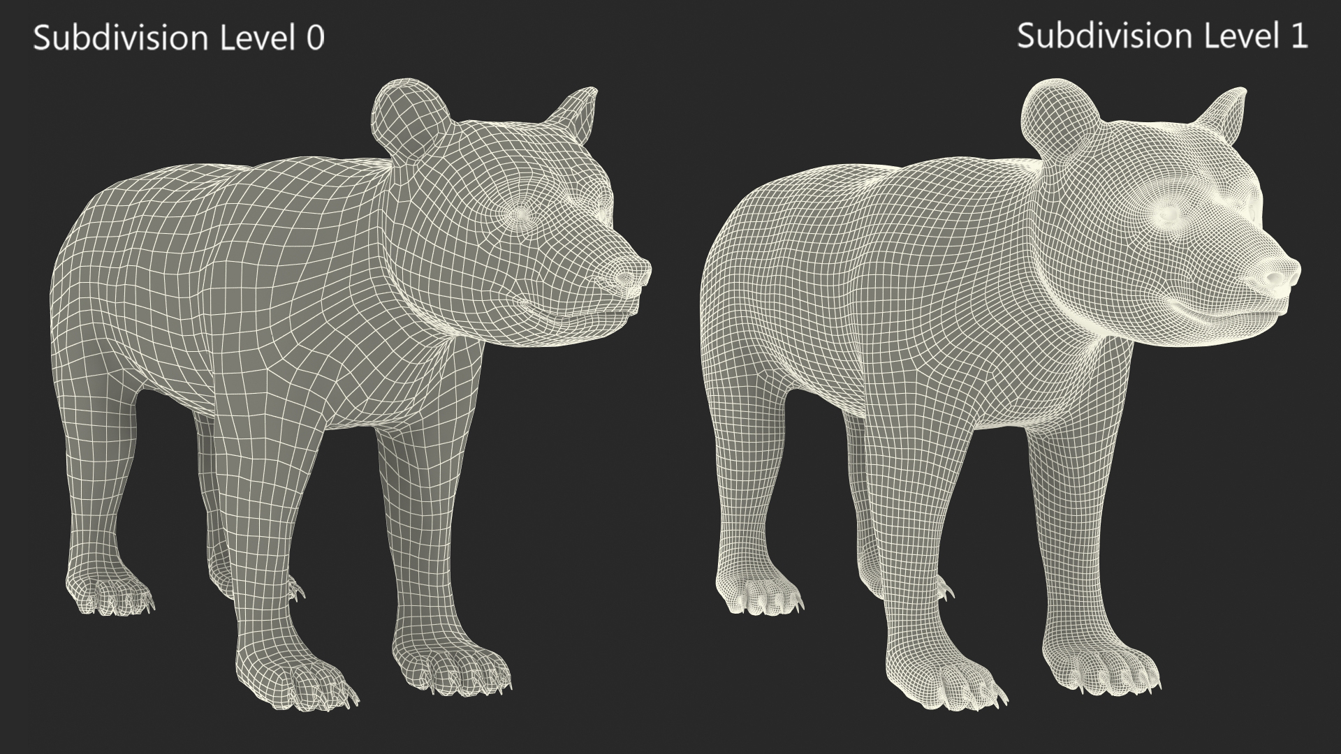 Young Black Bear Rigged for Maya 3D