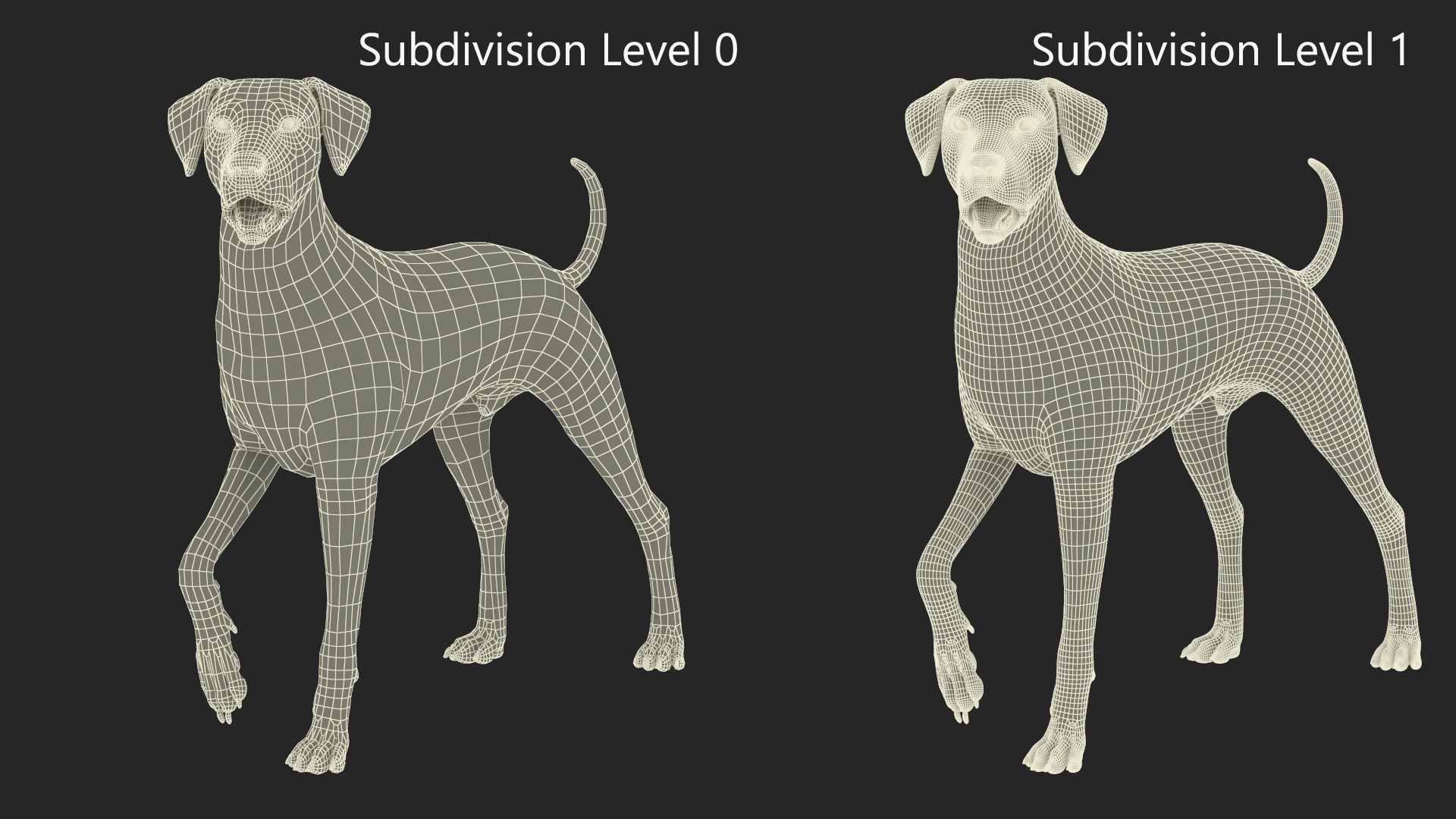 3D model Spotted Standing Dalmatian Dog