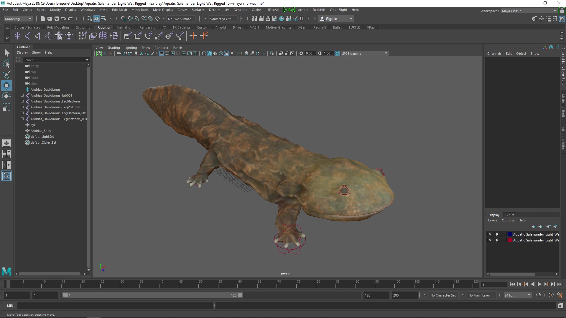 Aquatic Salamander Light Wet Rigged for Maya 3D model