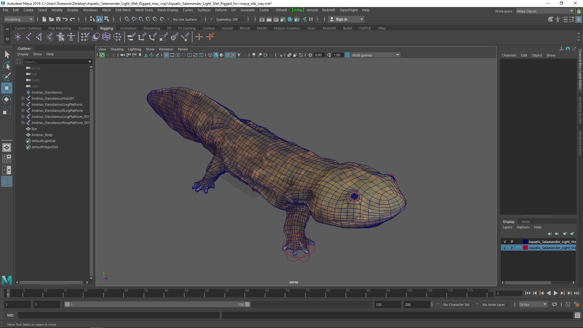 Aquatic Salamander Light Wet Rigged for Maya 3D model