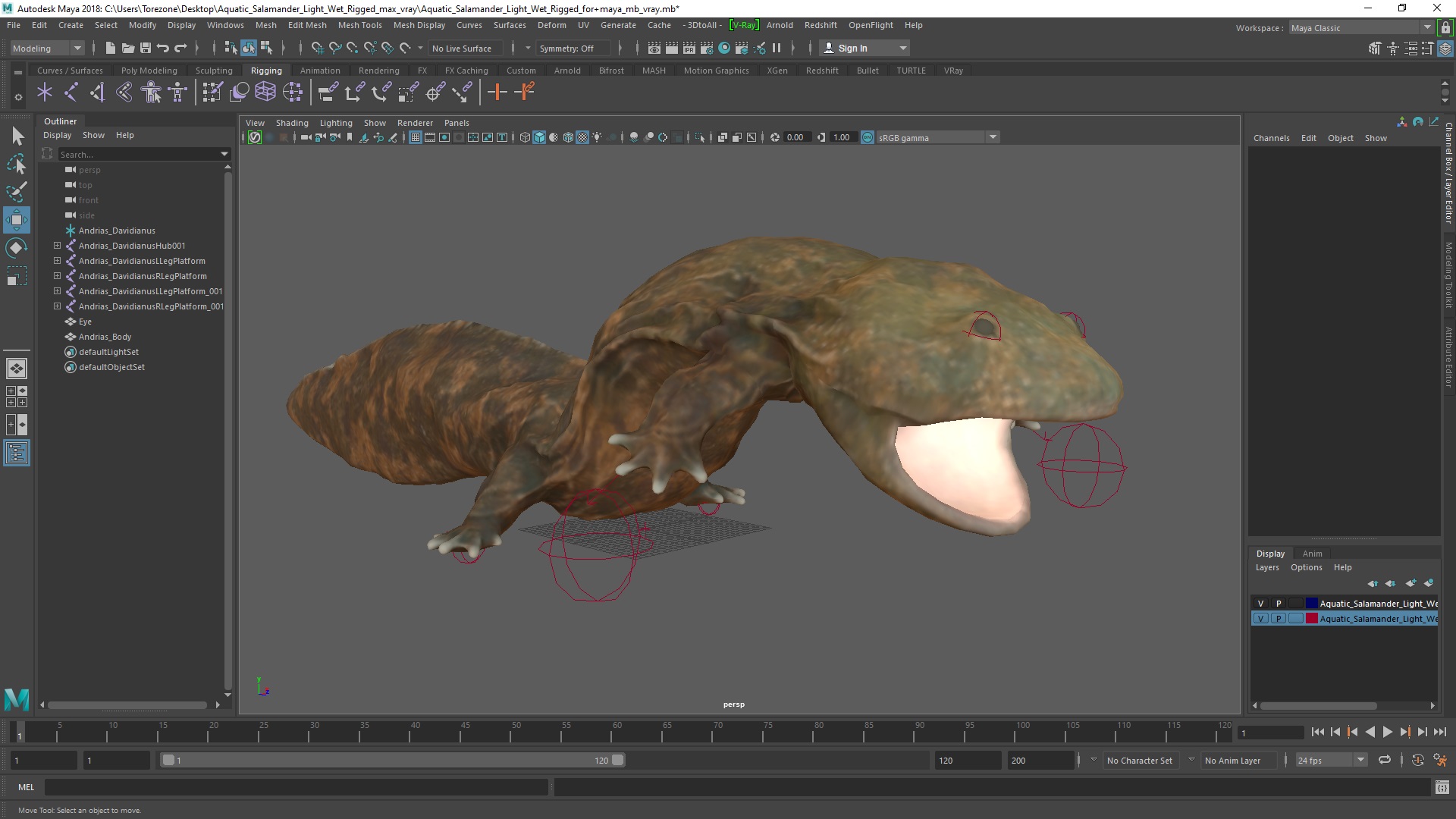 Aquatic Salamander Light Wet Rigged for Maya 3D model