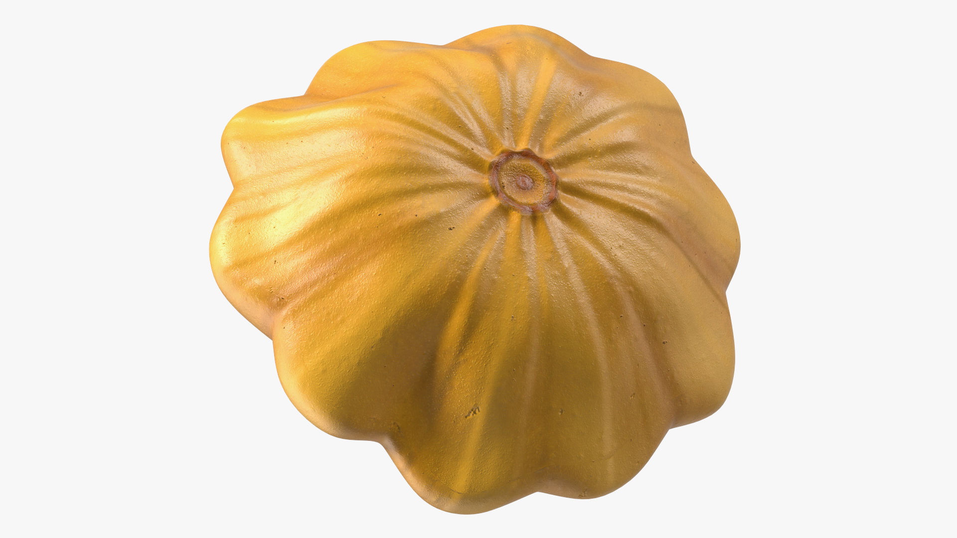 3D model Orange Color Bush Pumpkin