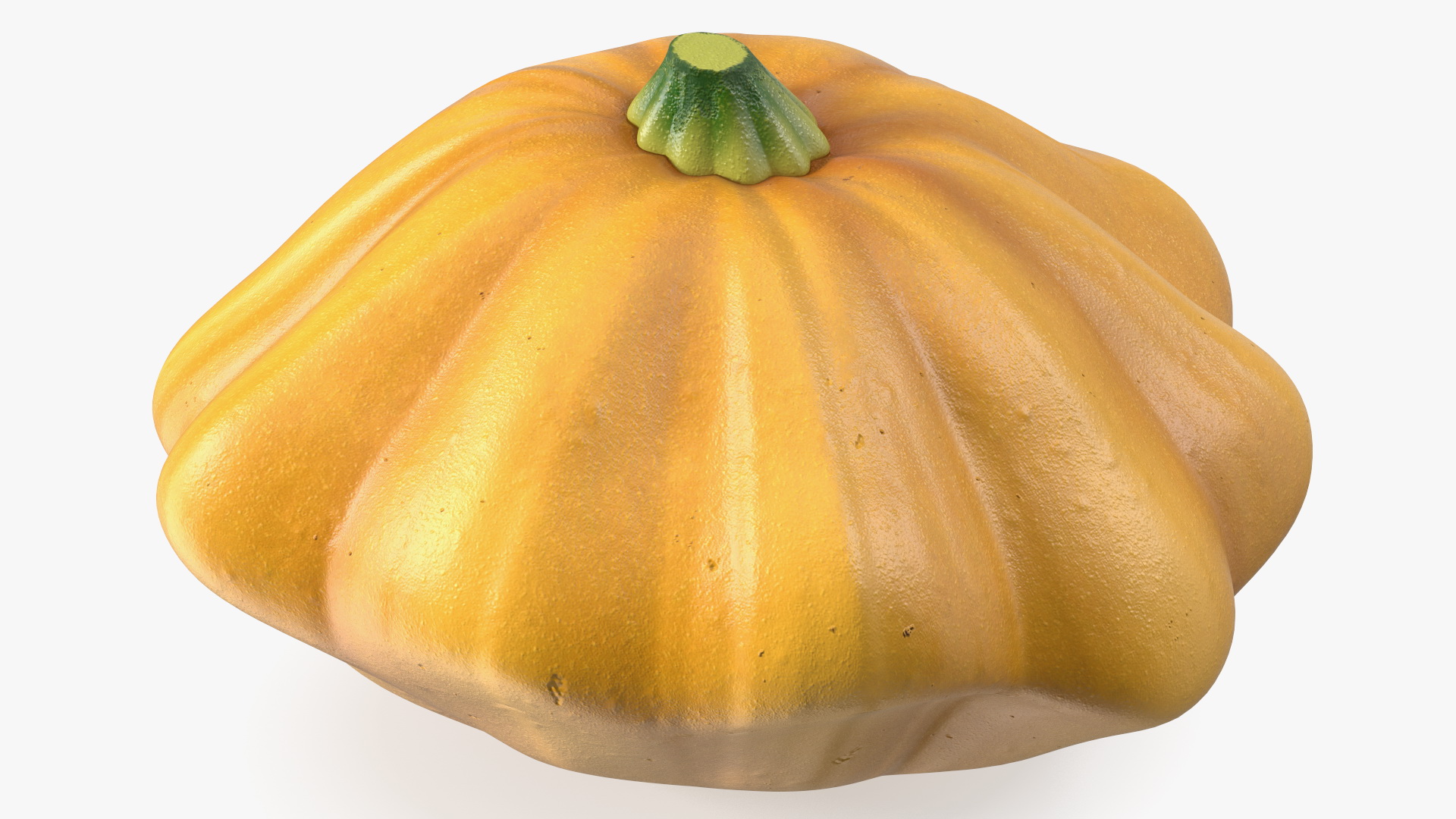 3D model Orange Color Bush Pumpkin