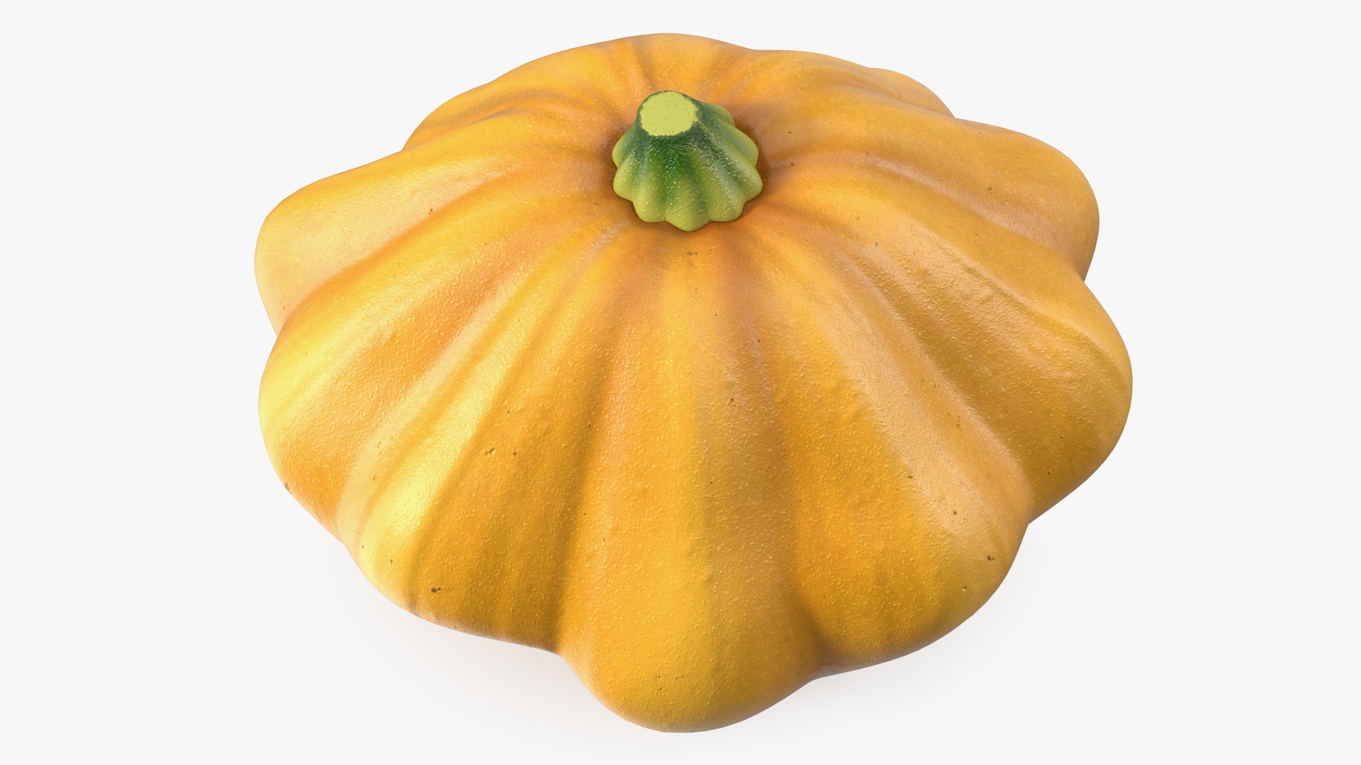 3D model Orange Color Bush Pumpkin