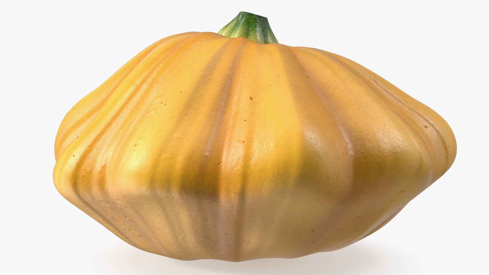 3D model Orange Color Bush Pumpkin