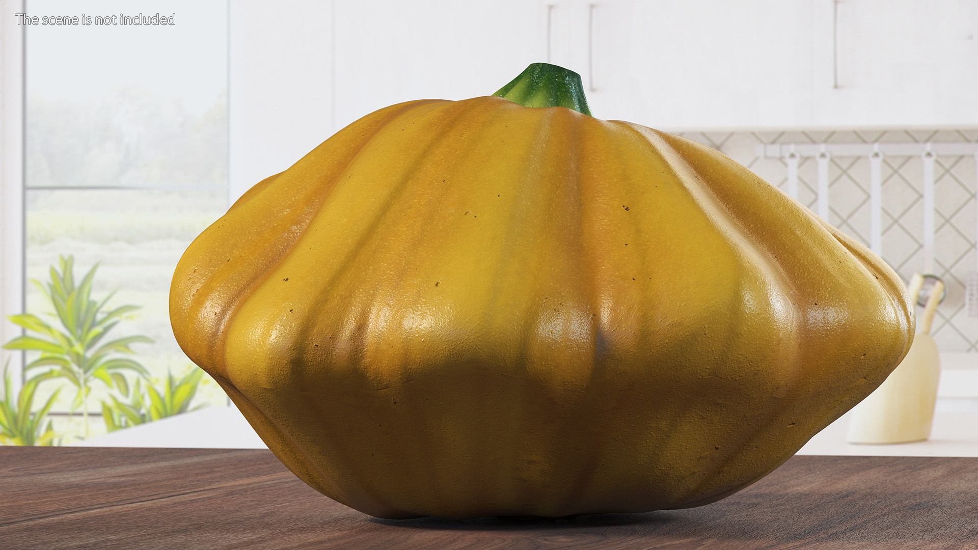 3D model Orange Color Bush Pumpkin