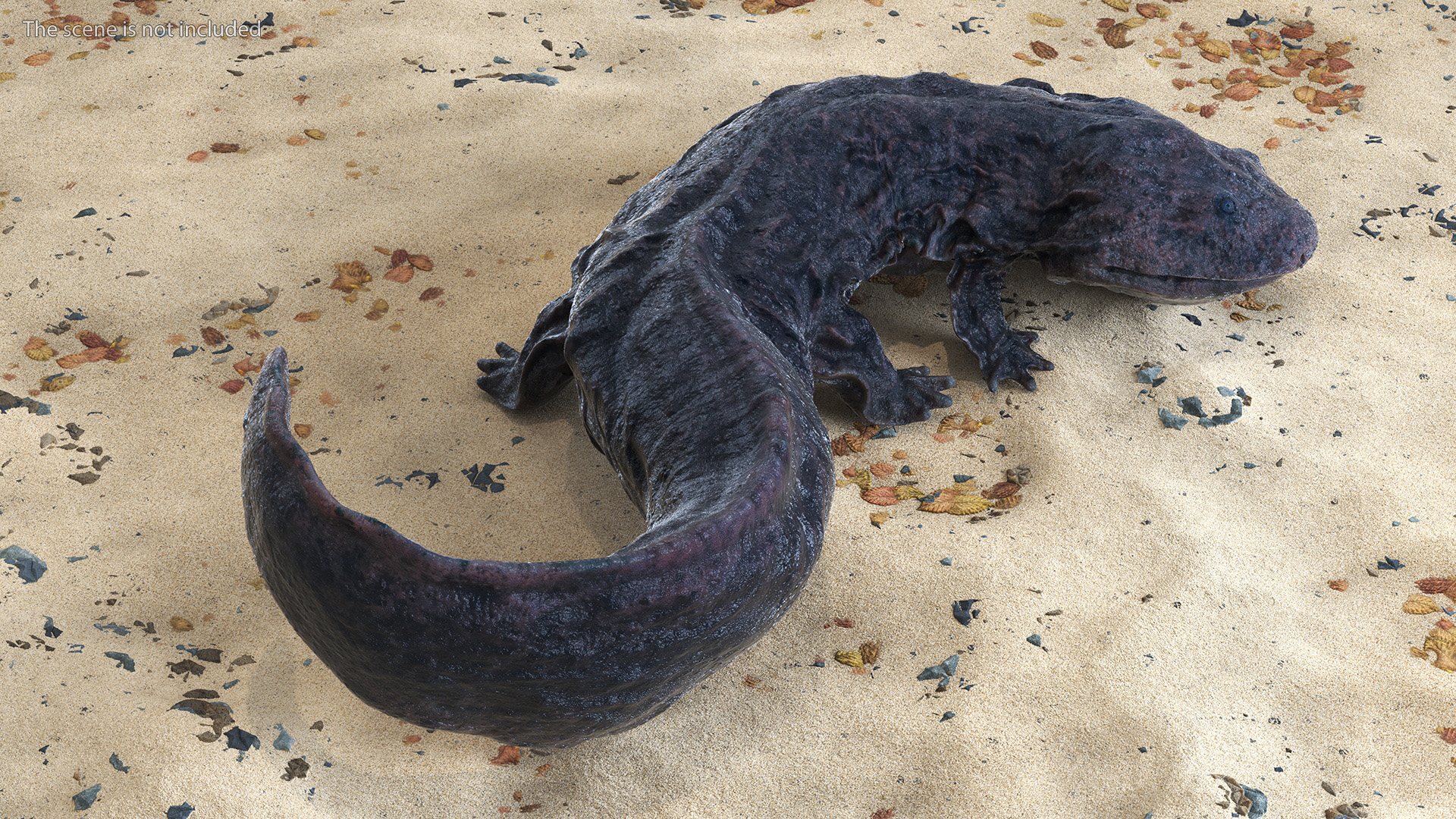 3D model Salamander Dark Wet Lying