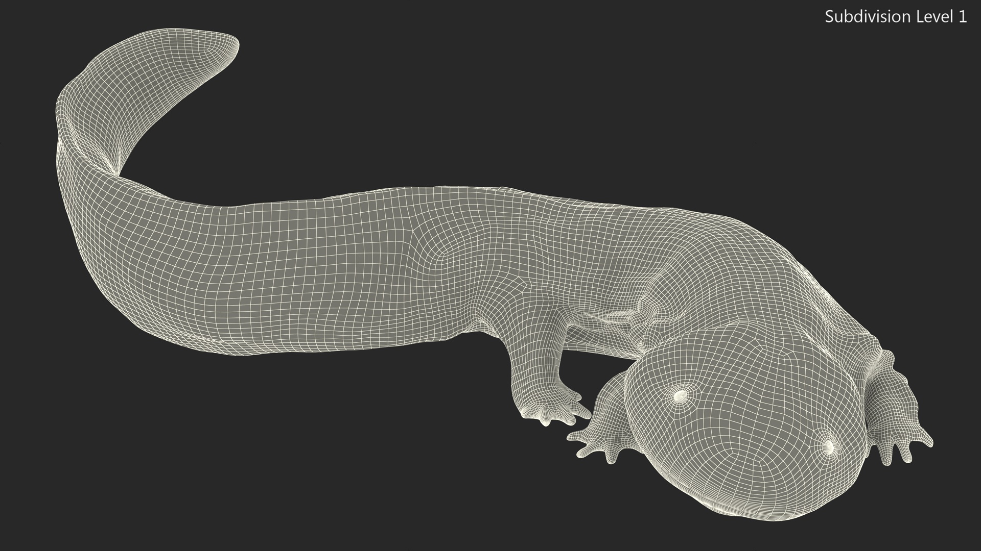 3D model Salamander Dark Wet Lying