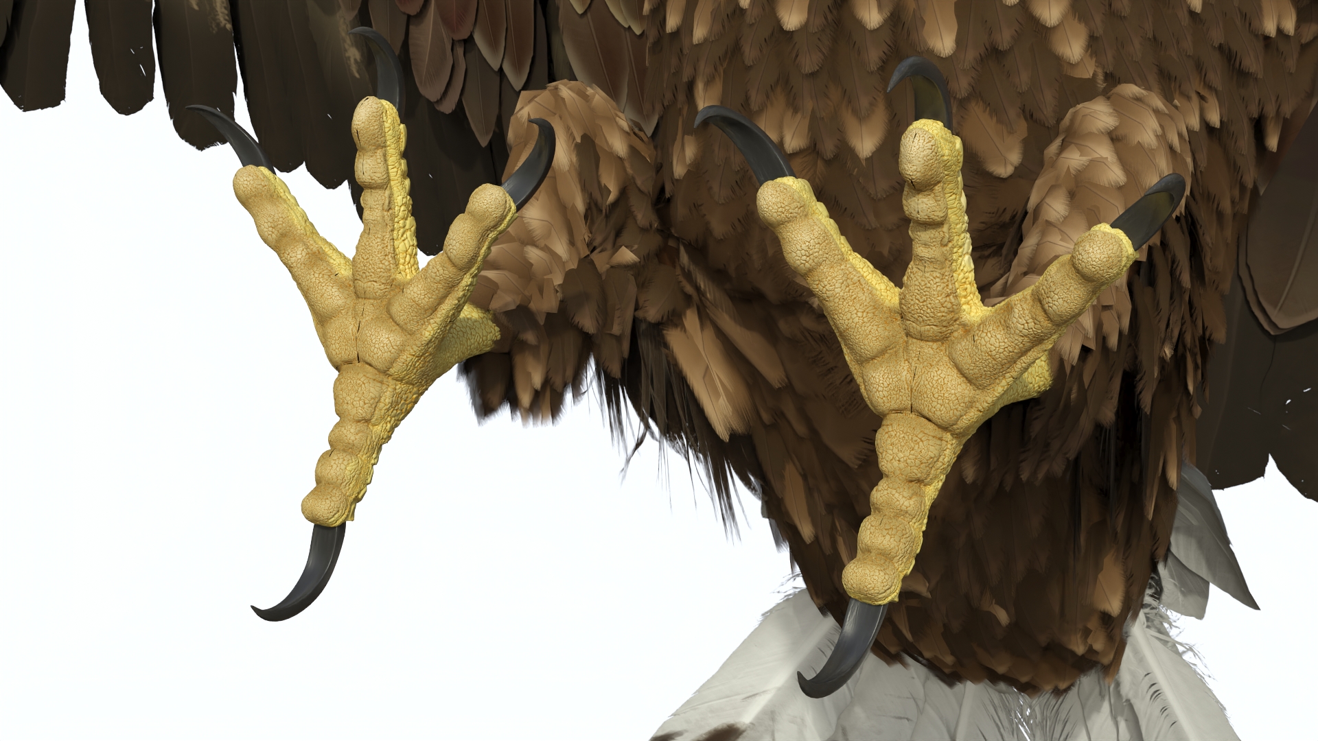 Realistic Golden Eagle Rigged 3D model