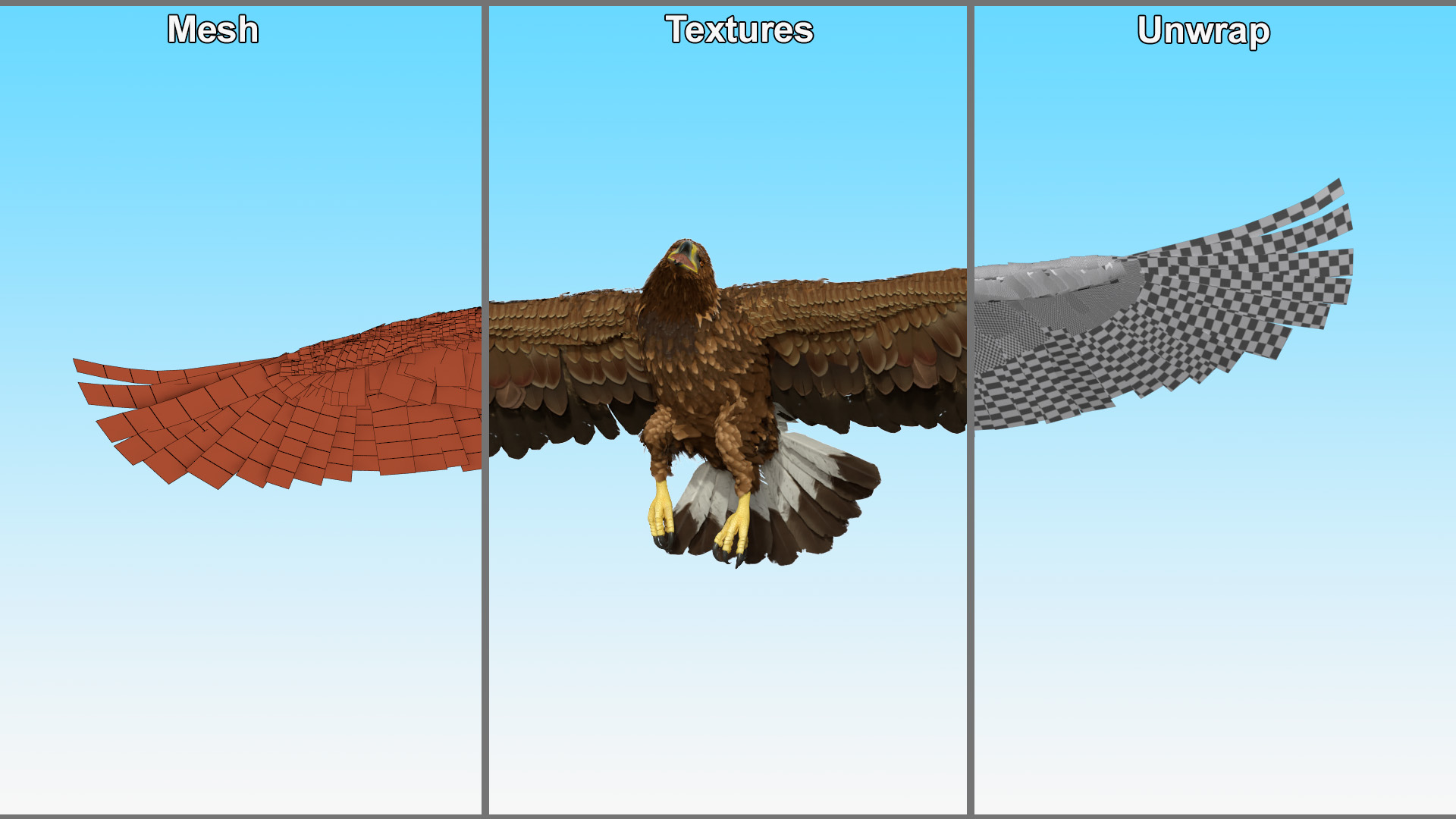 Realistic Golden Eagle Rigged 3D model