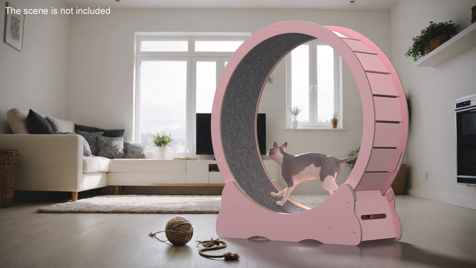 Pet Running Wheel 3D