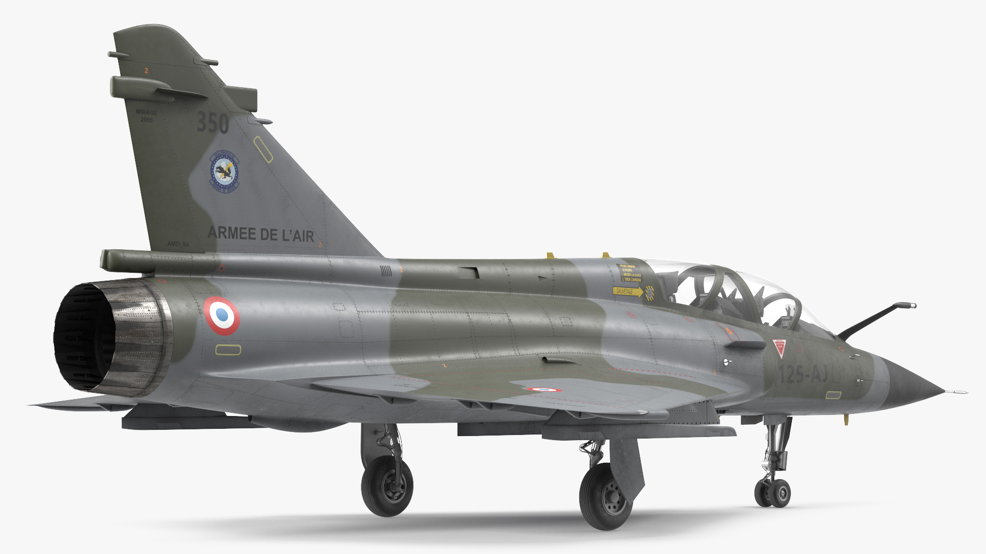 3D Dassault Mirage 2000 Two Seat Fighter Camouflage model