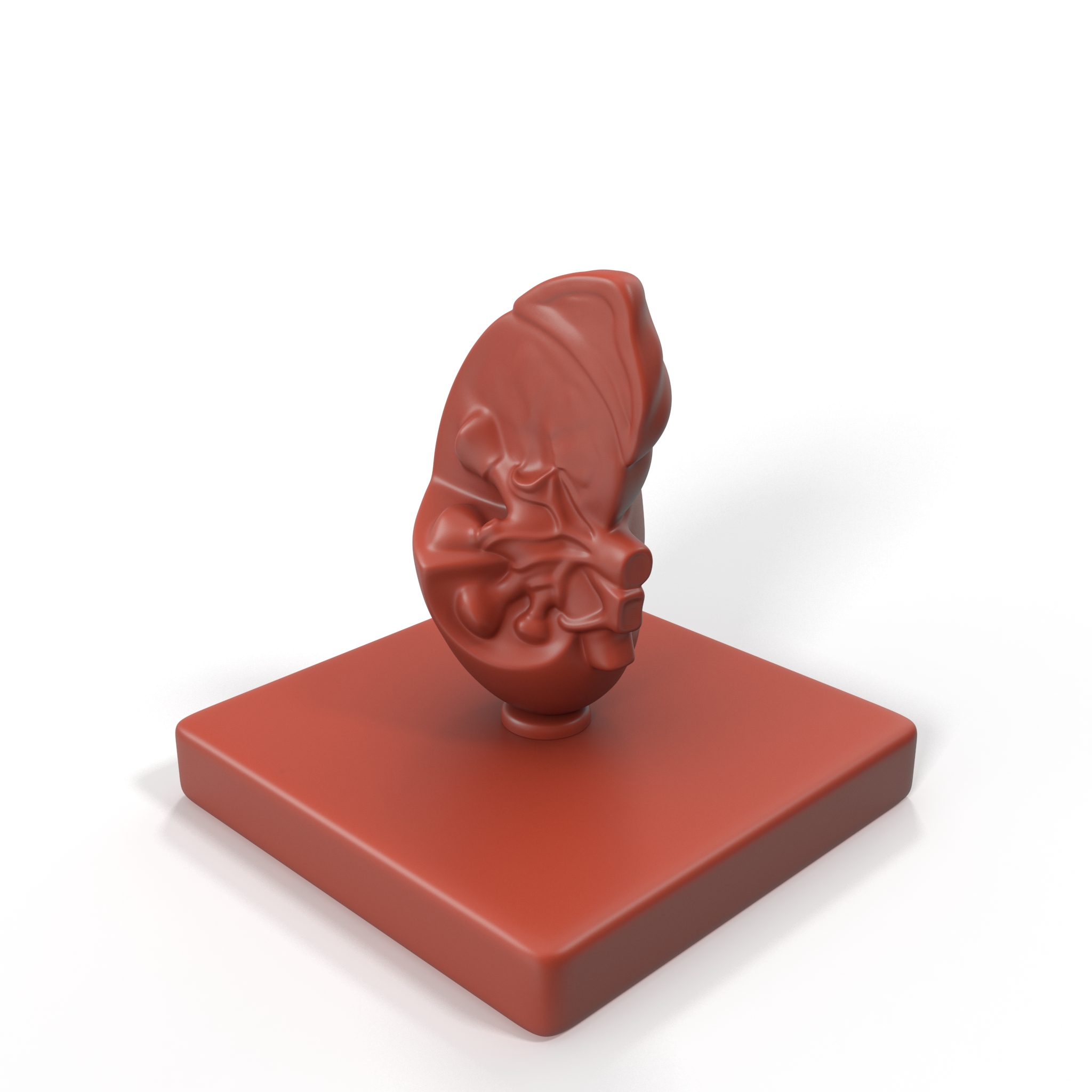 3D model Kidney Inside Medical Model for 3D Print