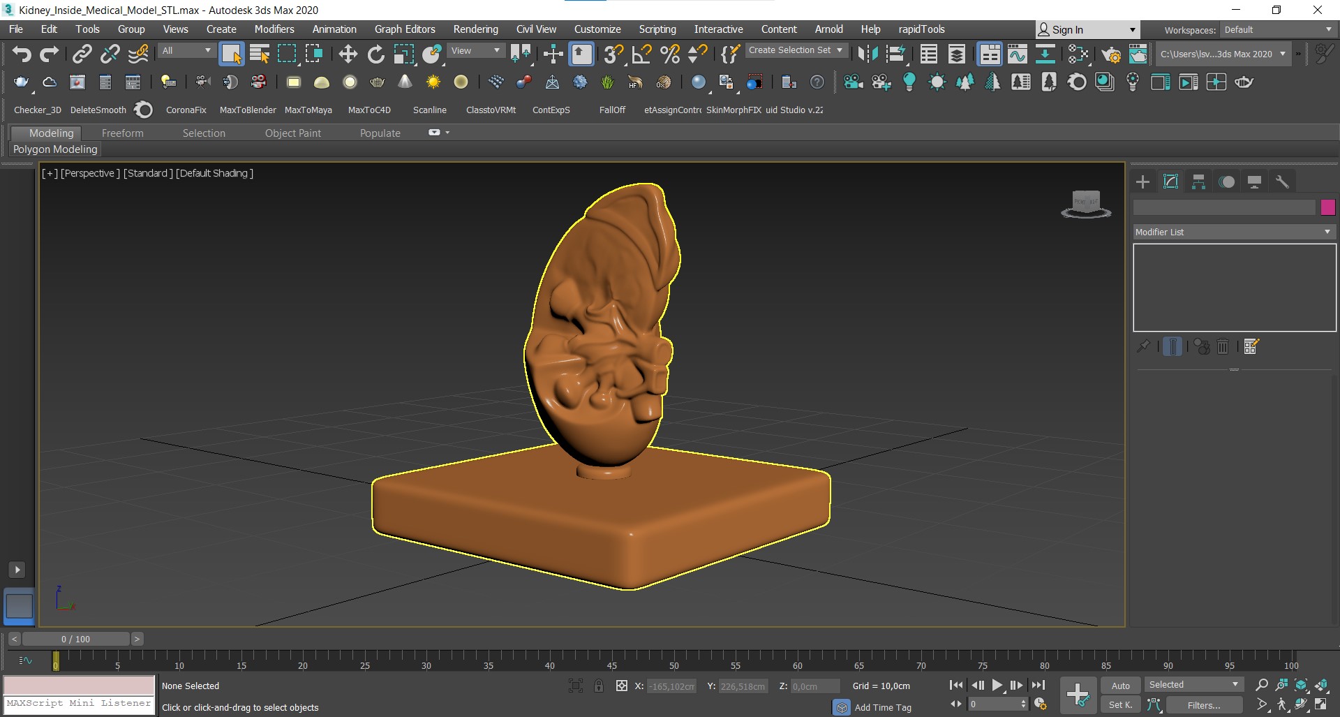 3D model Kidney Inside Medical Model for 3D Print