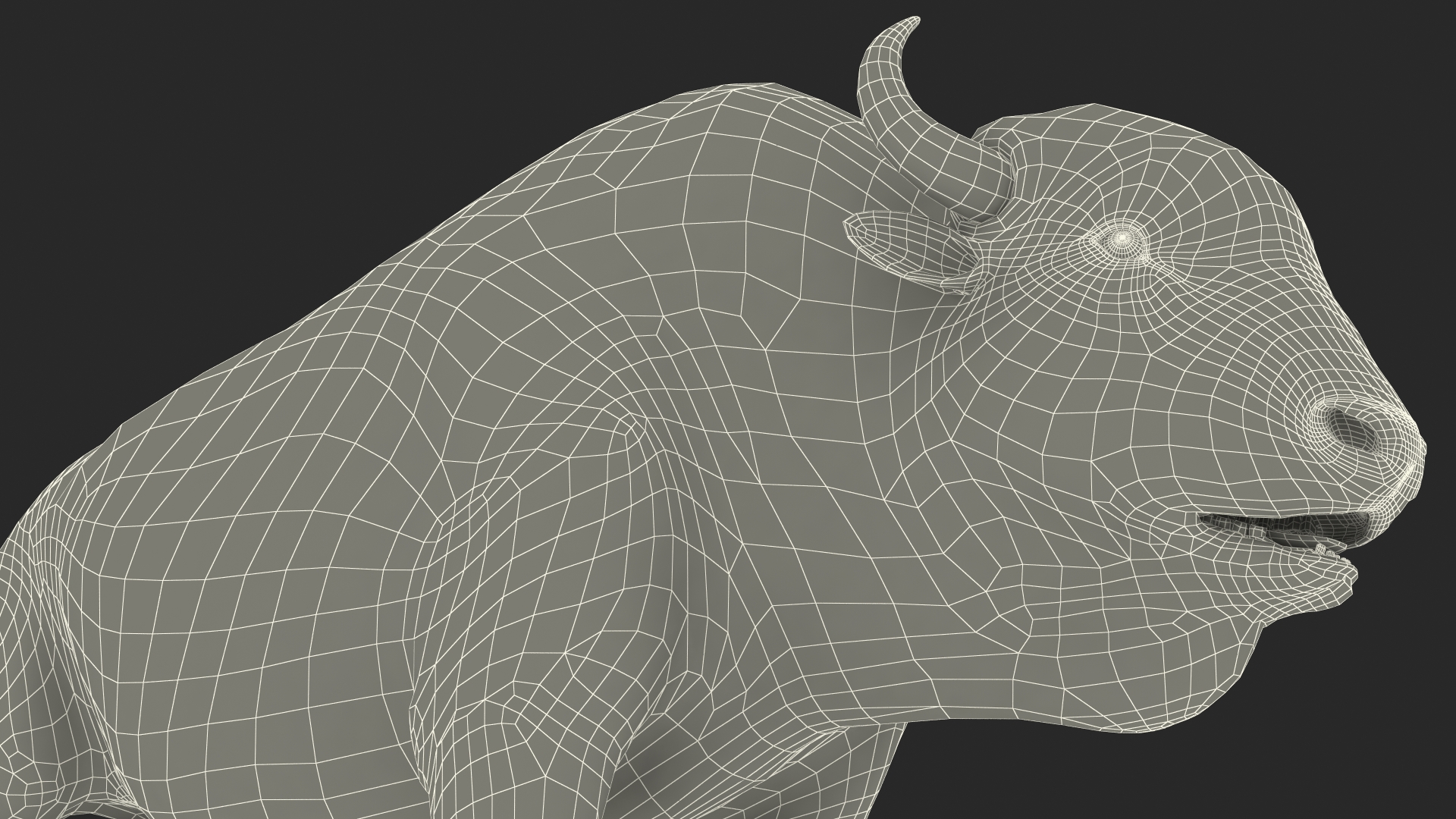 3D model American Bison Rigged for Cinema 4D