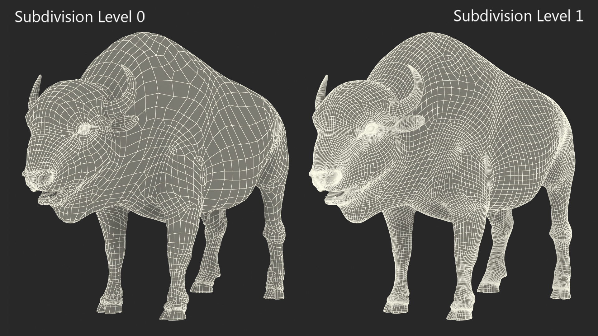 3D model American Bison Rigged for Cinema 4D