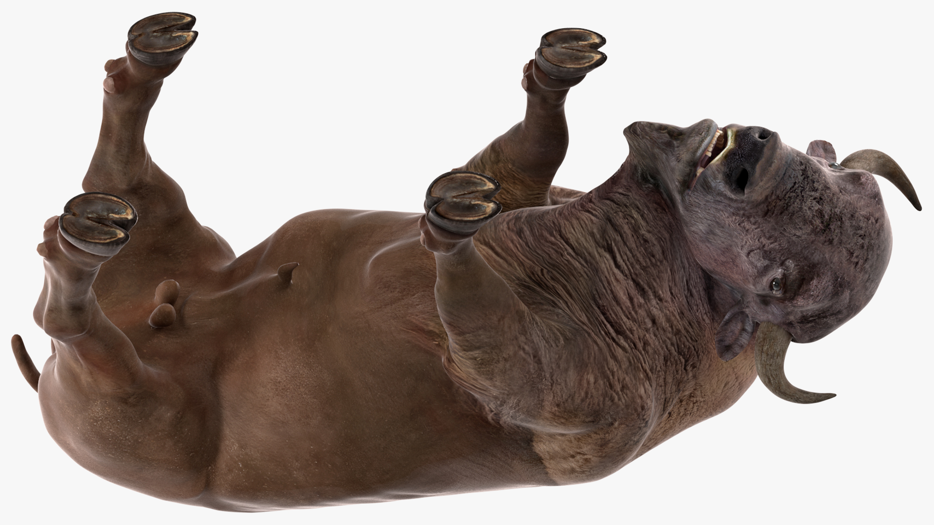 3D model American Bison Rigged for Cinema 4D