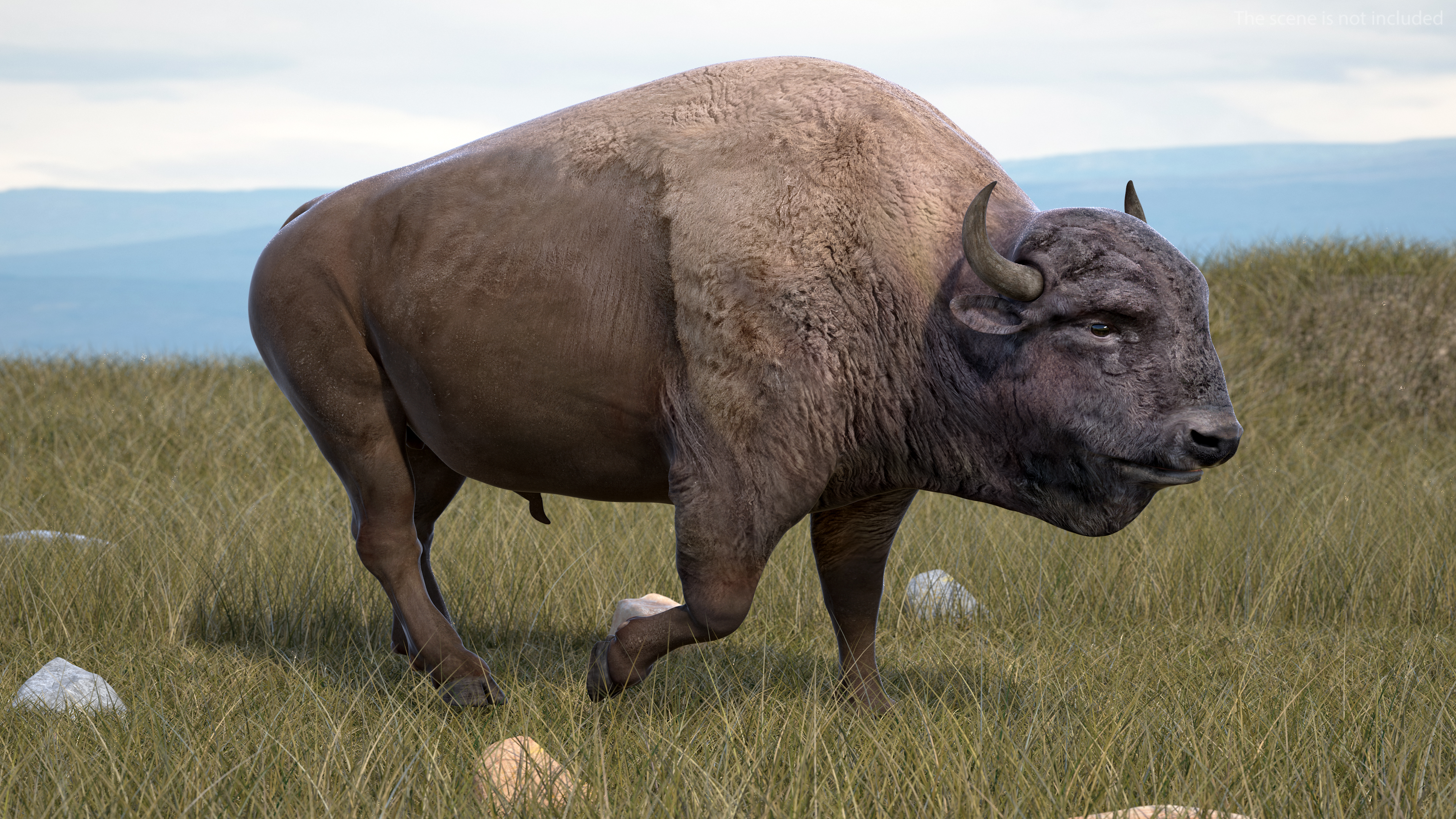 3D model American Bison Rigged for Cinema 4D