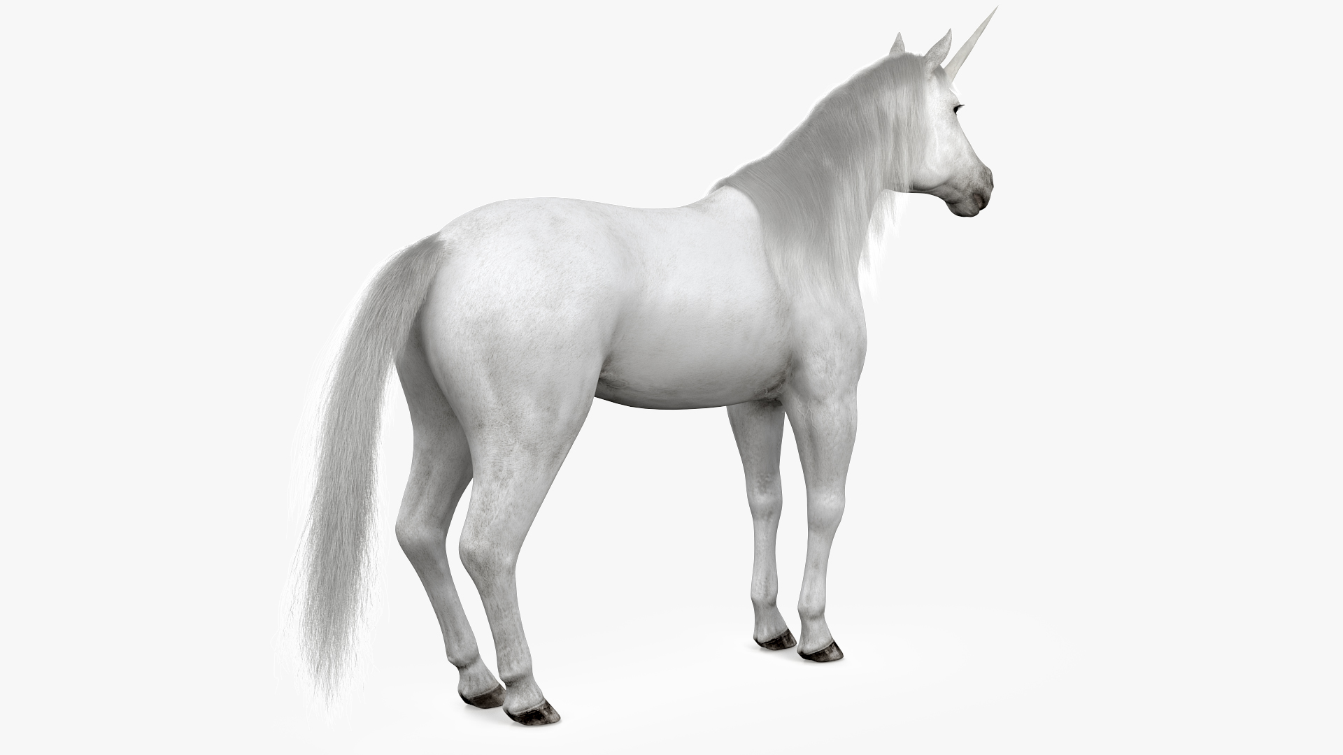 White Unicorn with Fur 3D