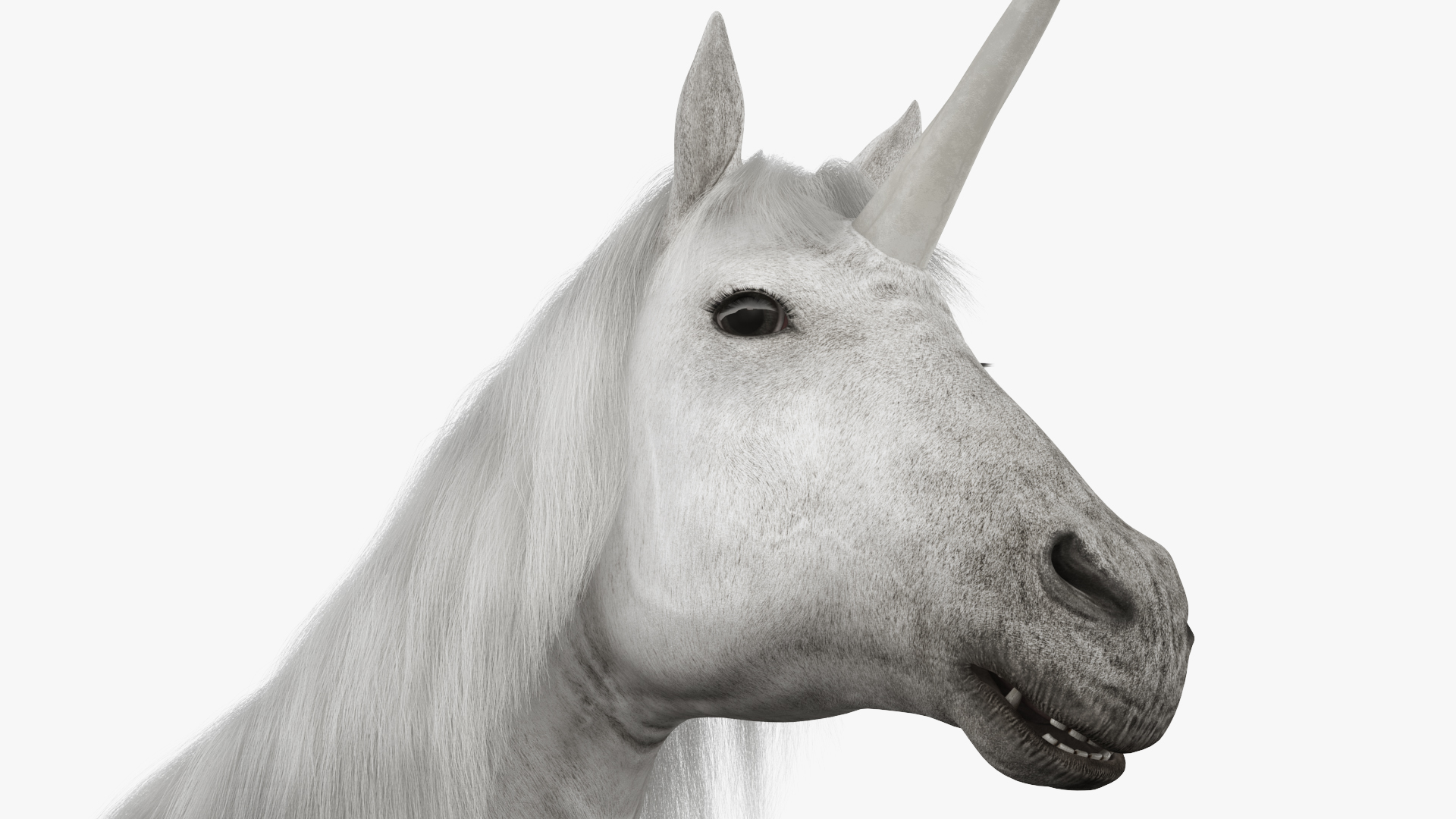 White Unicorn with Fur 3D